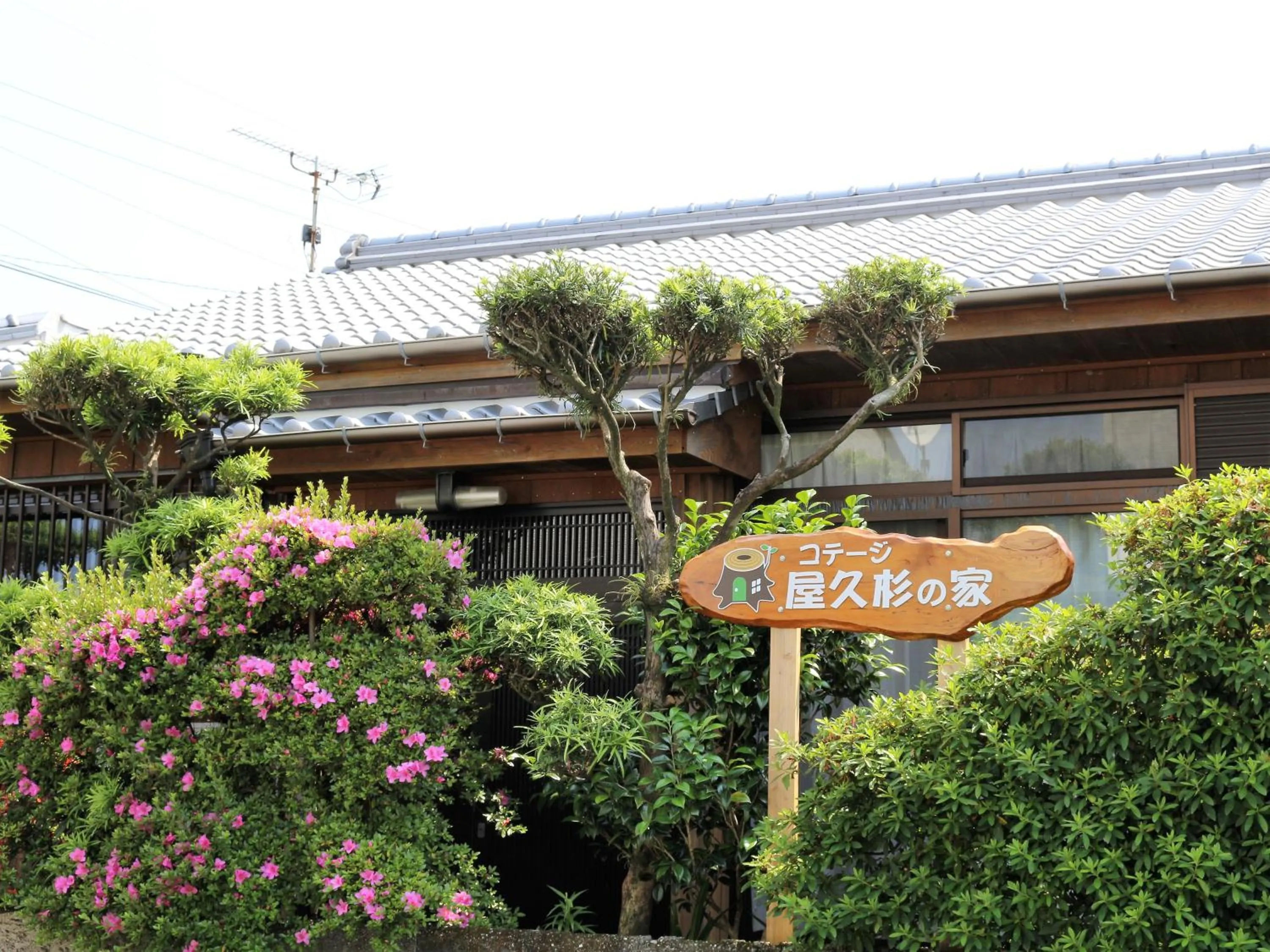 Facade/entrance in Cottage Yakusugi House