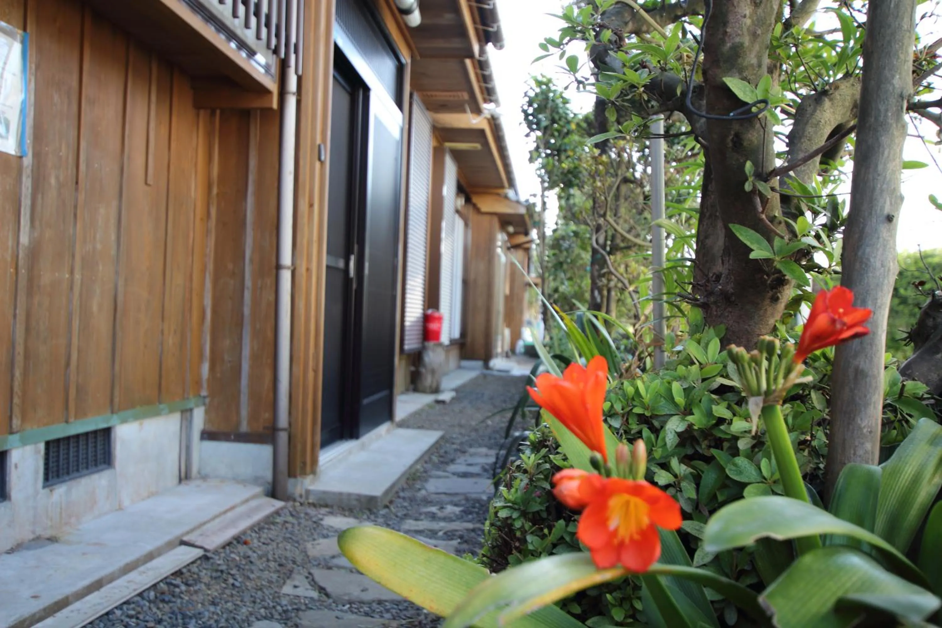 Facade/entrance in Cottage Yakusugi House
