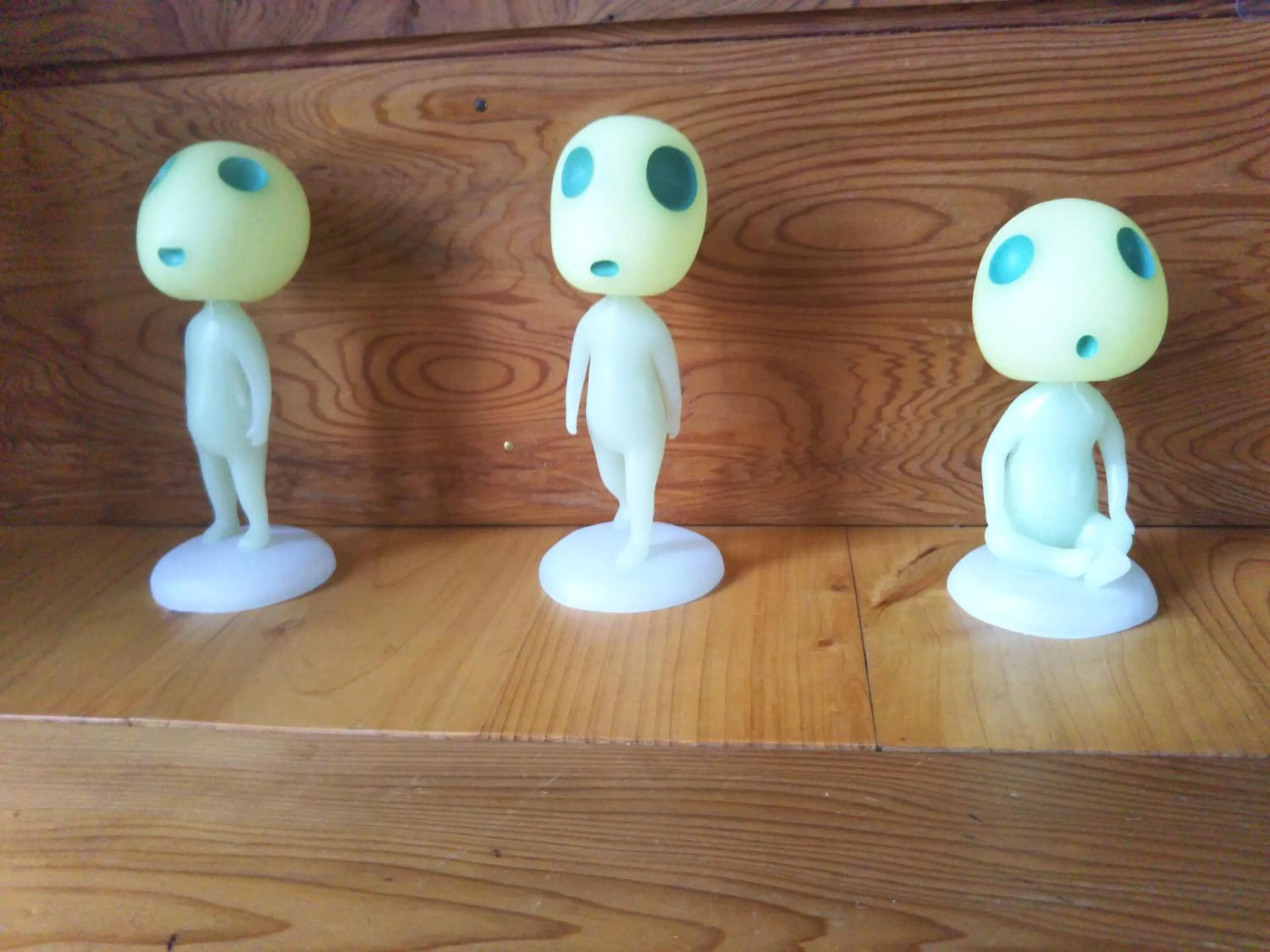 Area and facilities in Cottage Yakusugi House