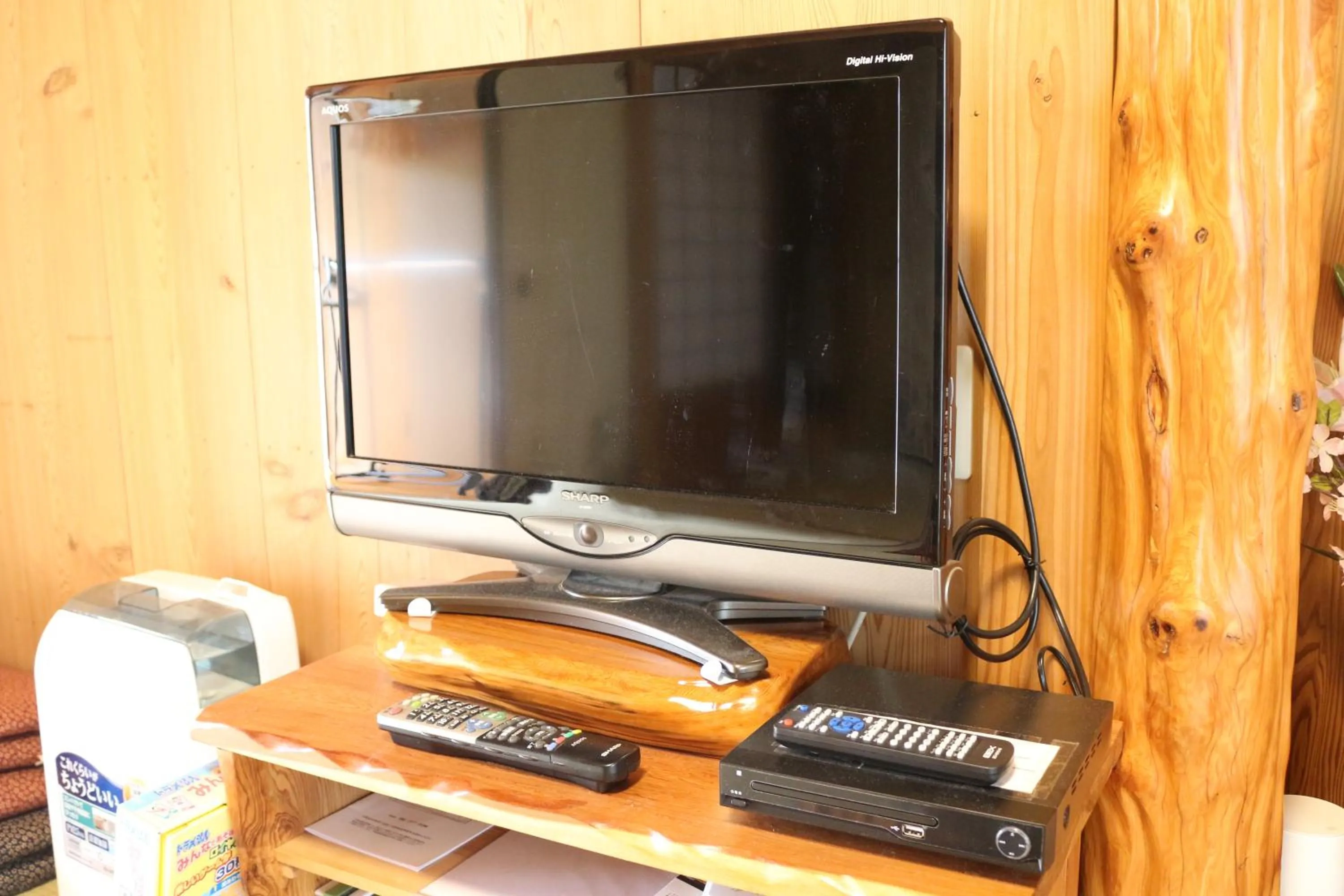 TV and multimedia in Cottage Yakusugi House