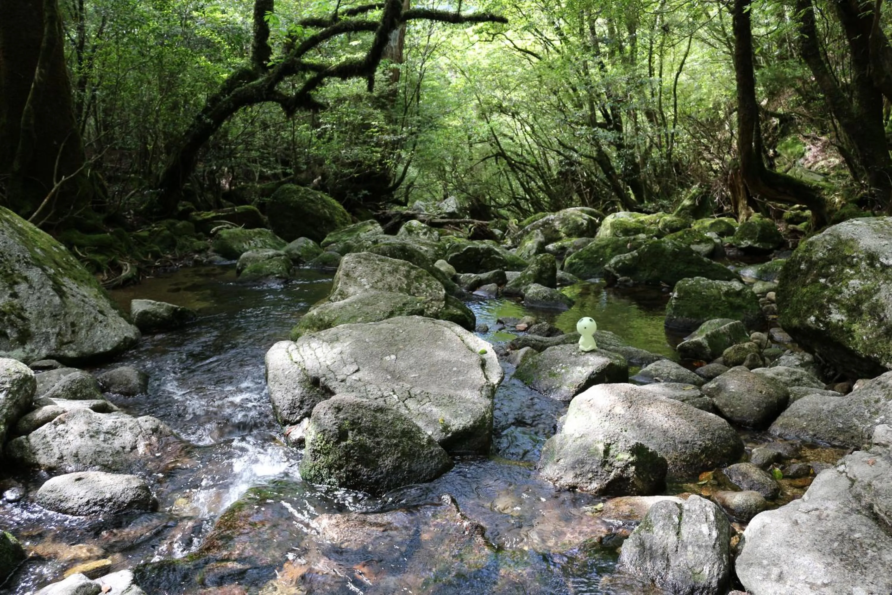 Nearby landmark in Cottage Yakusugi House