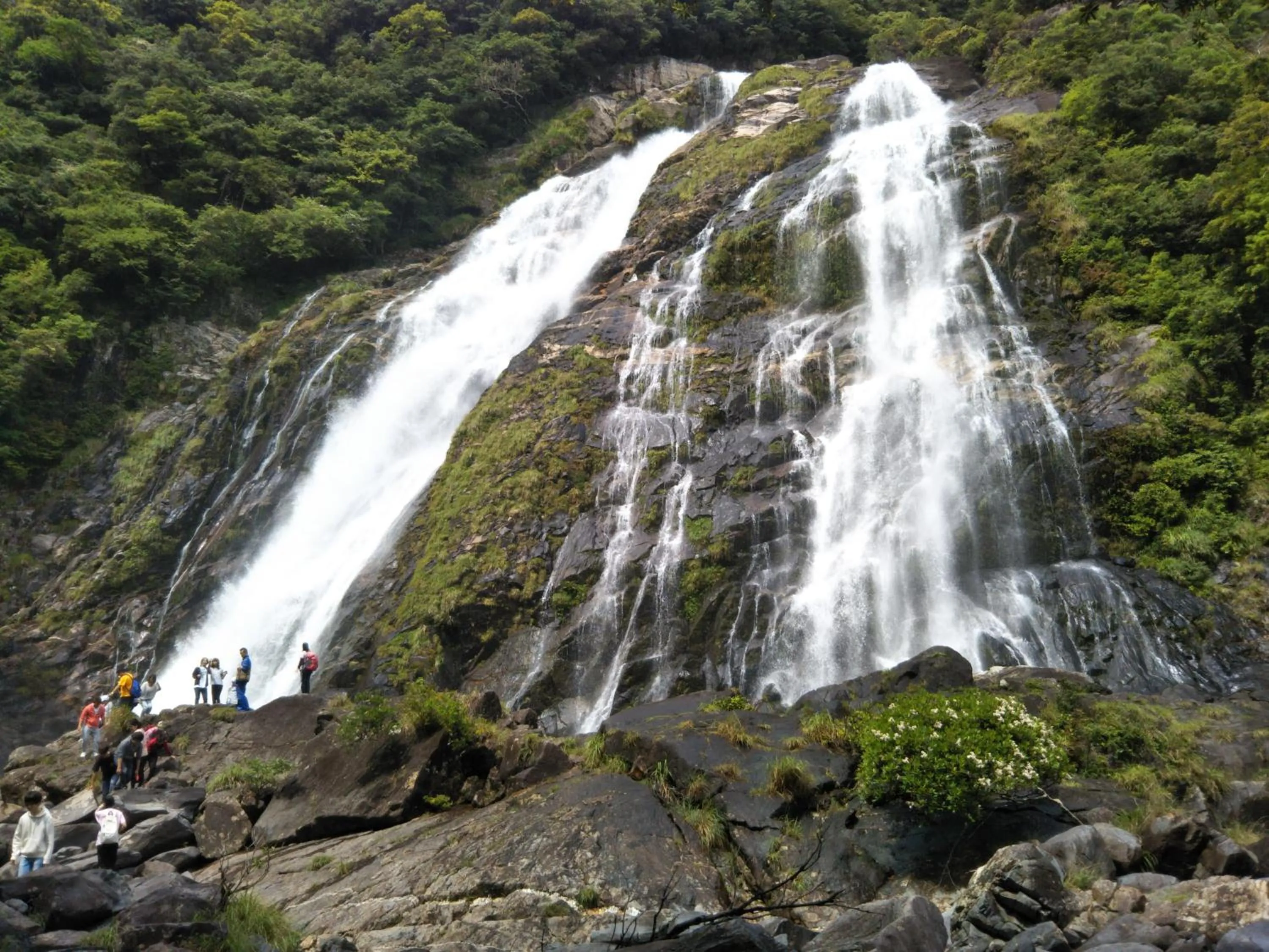 Nearby landmark in Cottage Yakusugi House