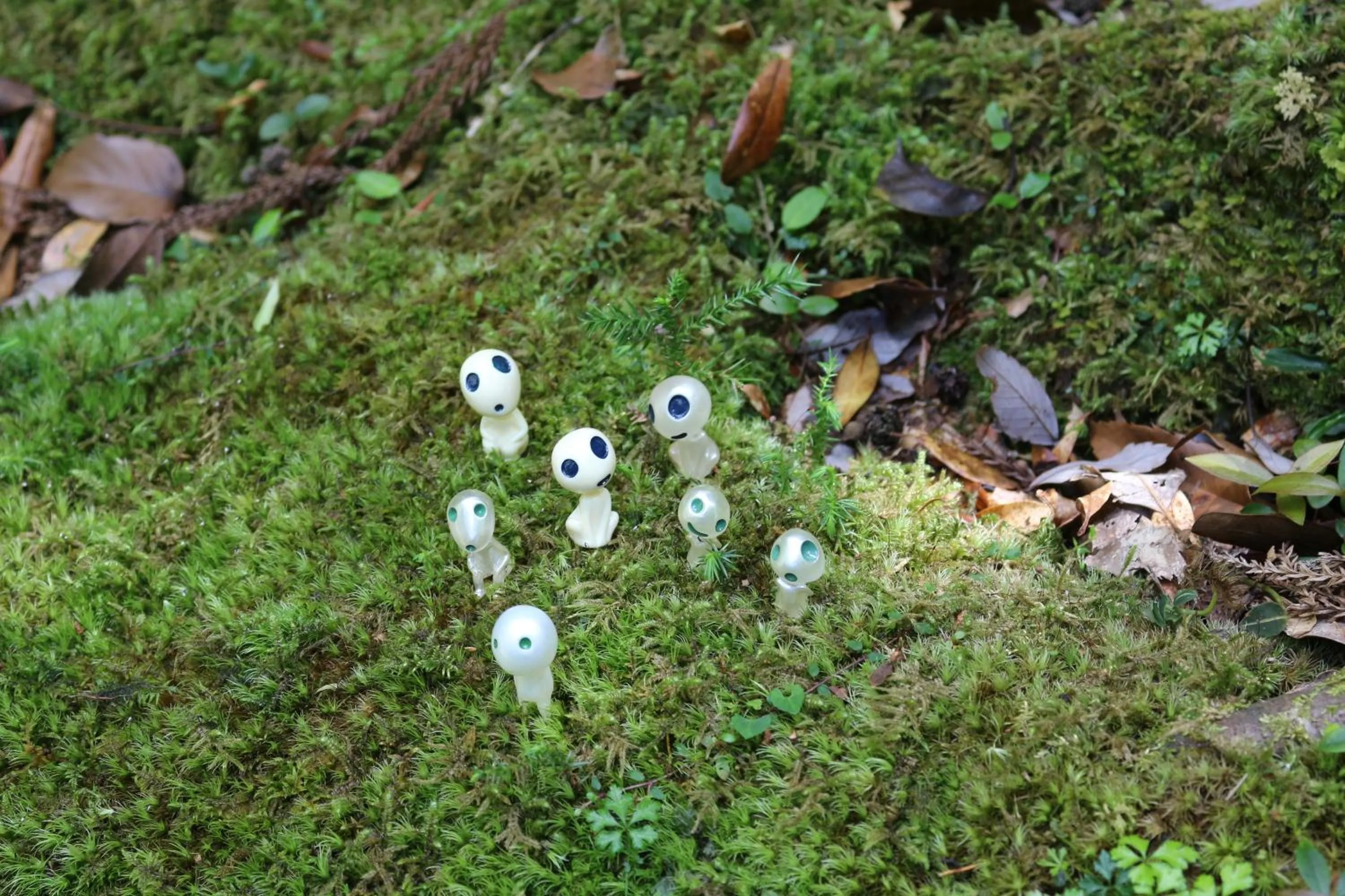 Nearby landmark in Cottage Yakusugi House