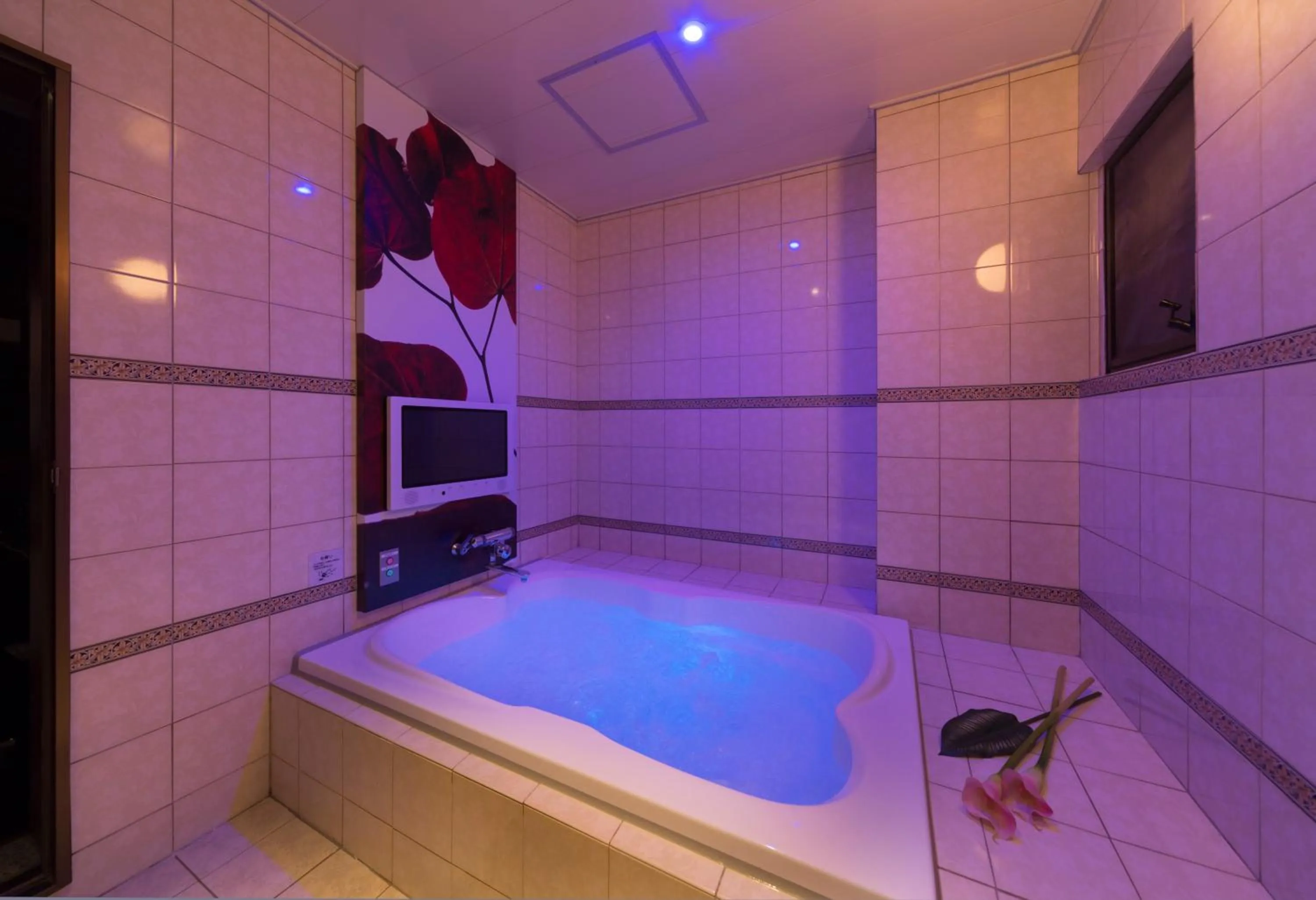 Photo of the whole room in Hotel Plant Garden Resort (Adult Only)