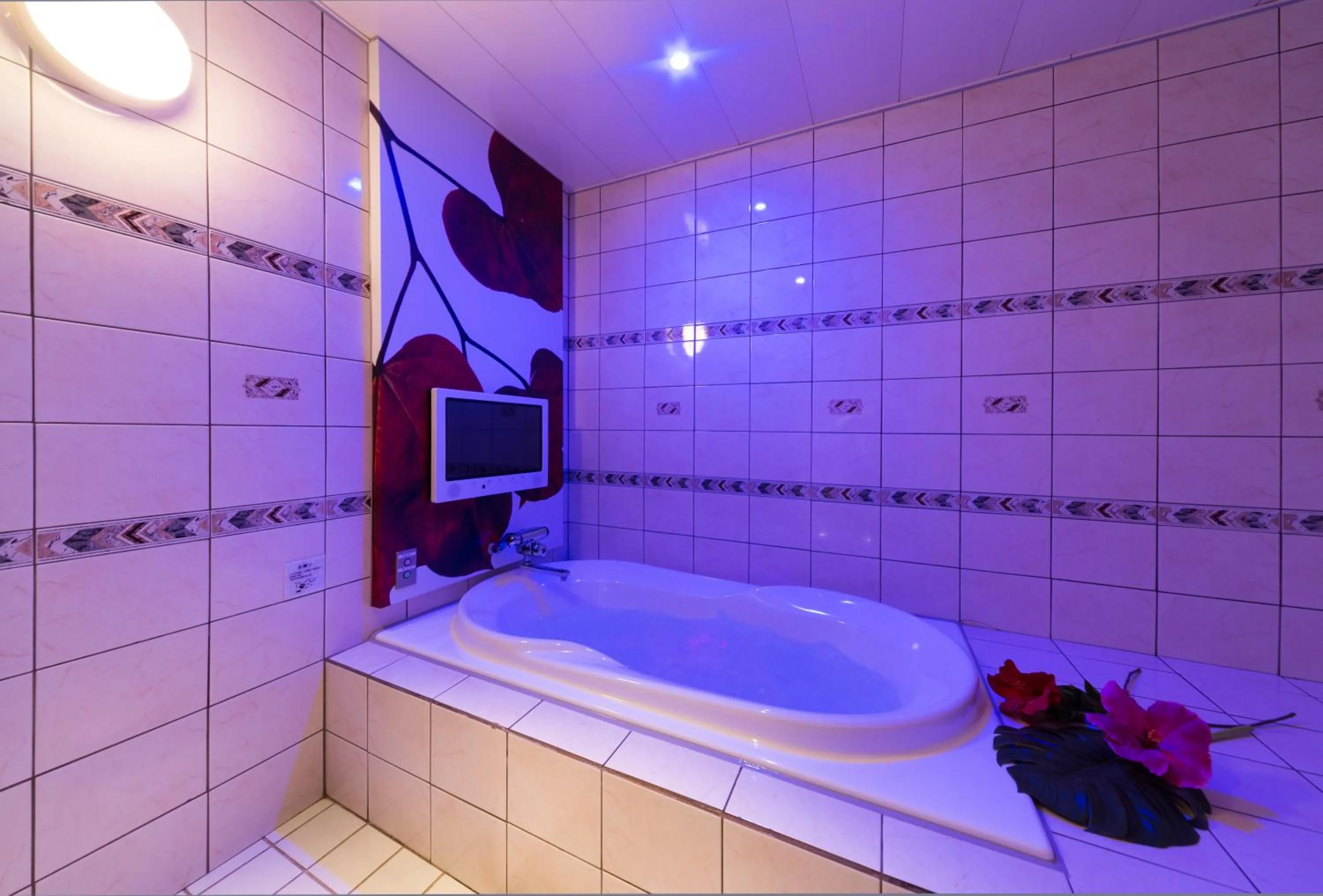 Photo of the whole room in Hotel Plant Garden Resort (Adult Only)