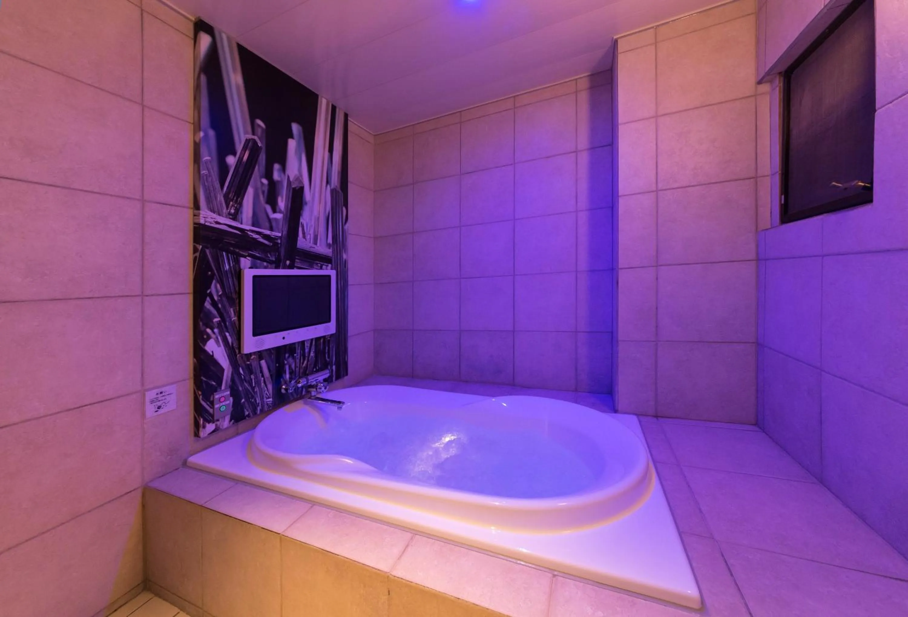 Photo of the whole room in Hotel Plant Garden Resort (Adult Only)