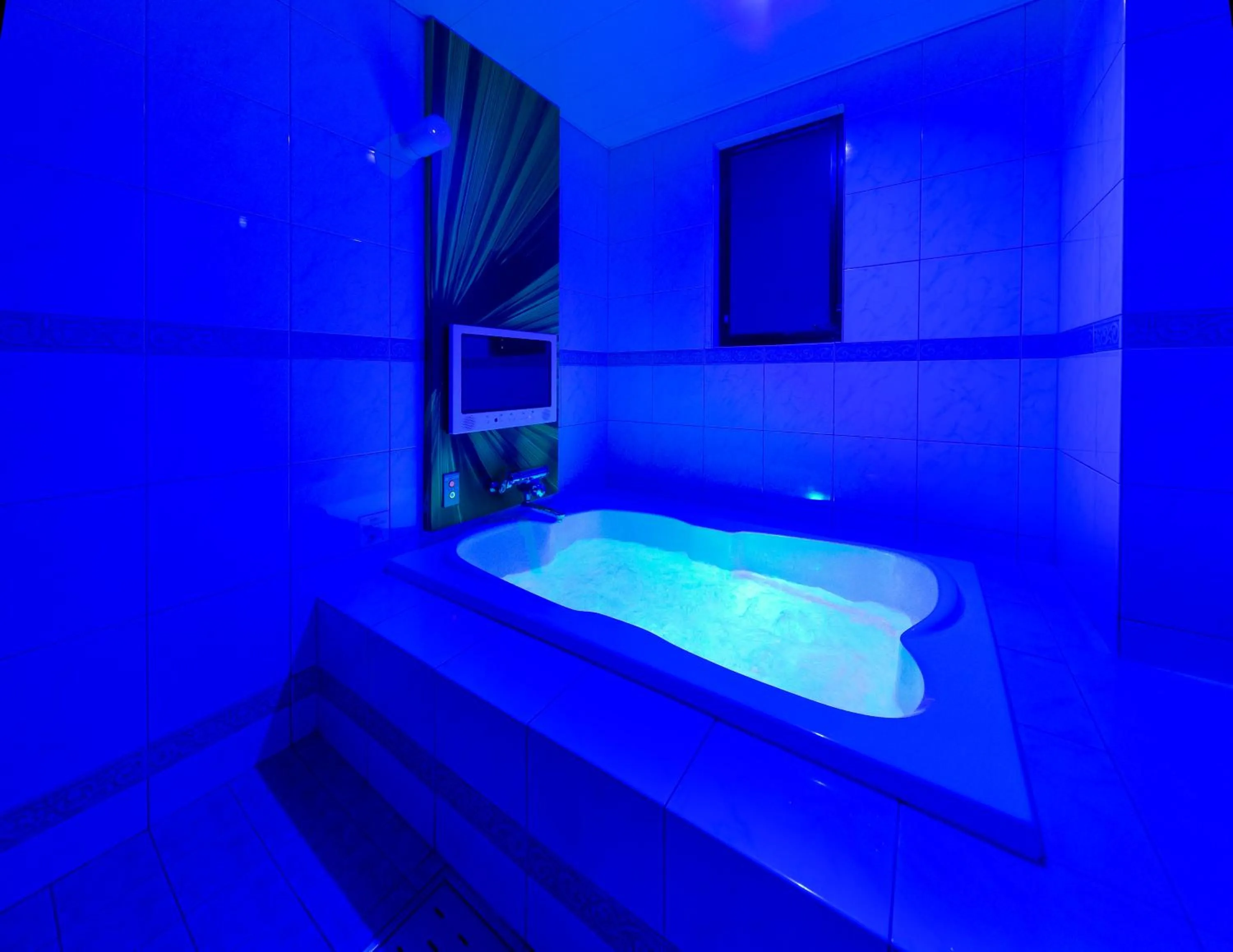 Photo of the whole room in Hotel Plant Garden Resort (Adult Only)