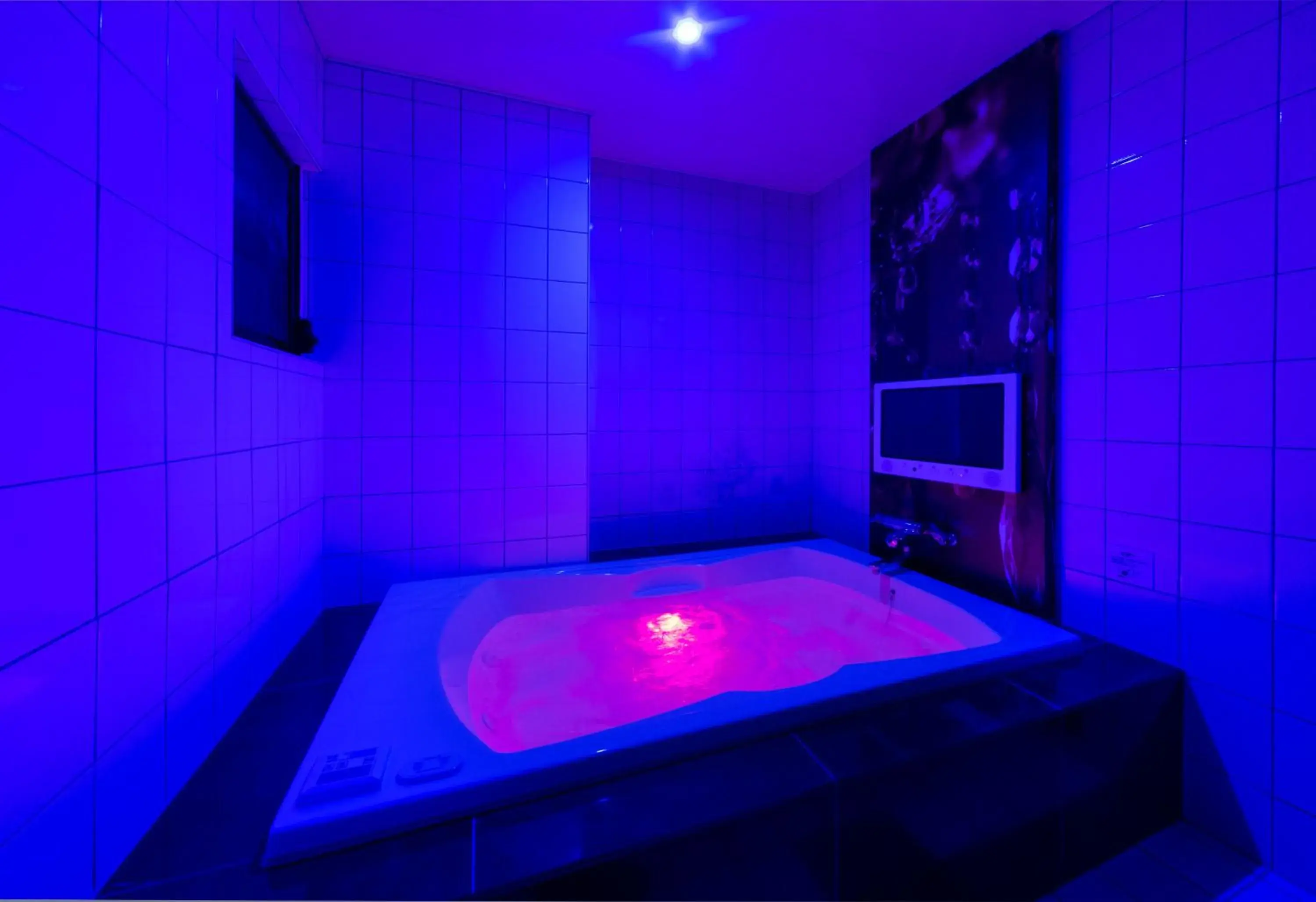 Standard Double Room in Hotel Plant Garden Resort (Adult Only) Standard Double Room in Hotel Plant Garden Resort (Adult Only)