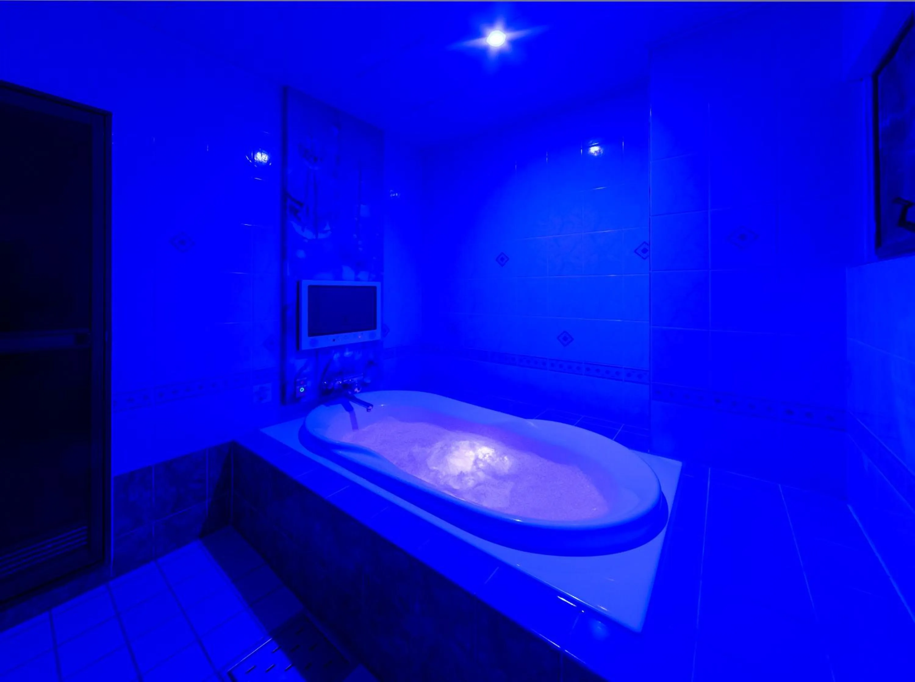 Photo of the whole room in Hotel Plant Garden Resort (Adult Only)