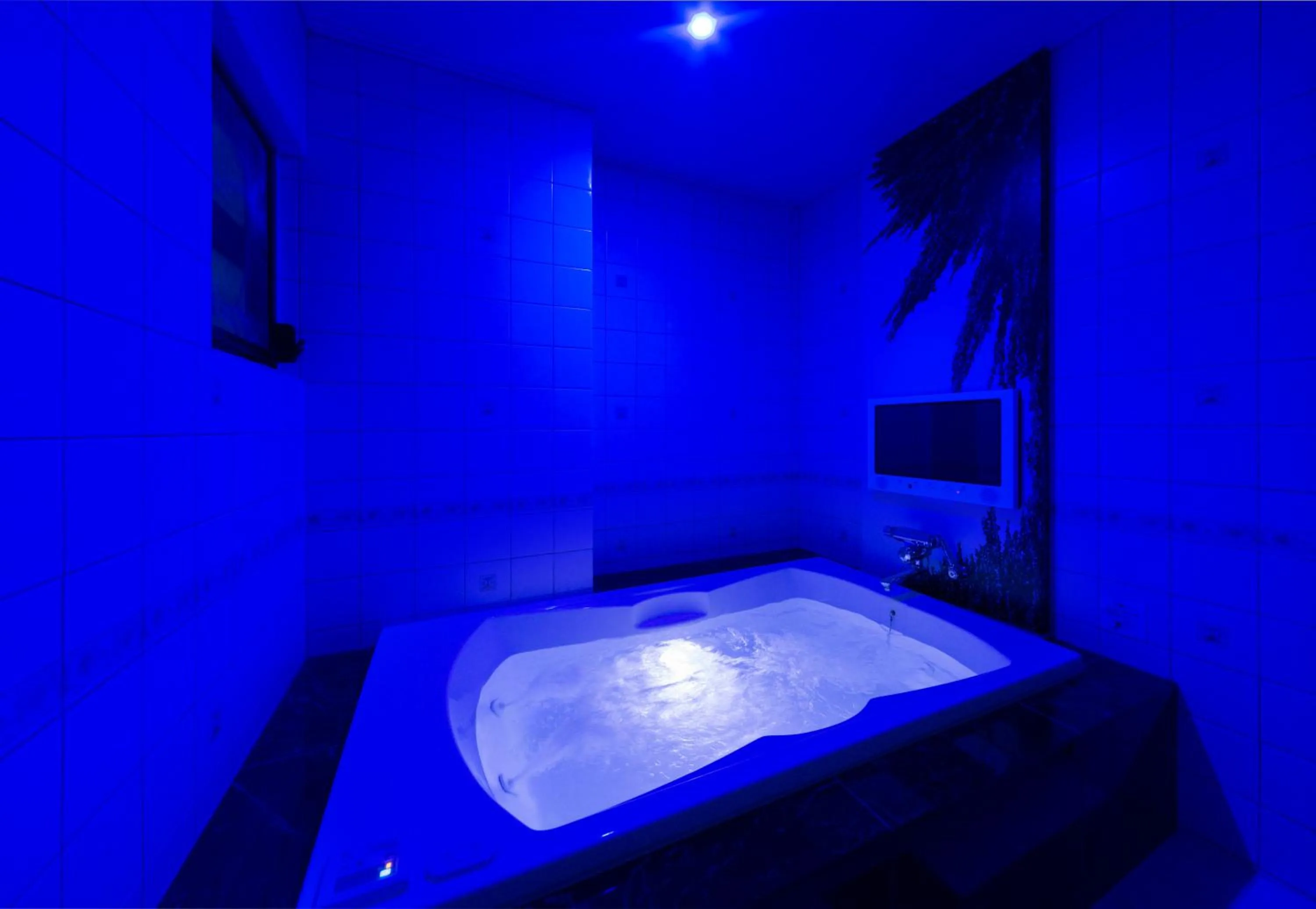 Photo of the whole room in Hotel Plant Garden Resort (Adult Only)