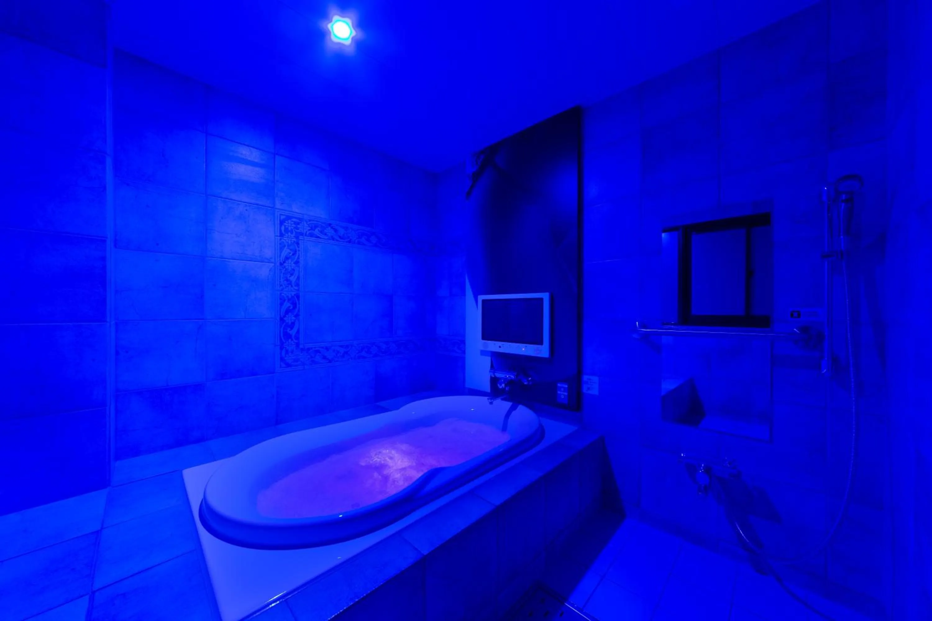 Photo of the whole room in Hotel Plant Garden Resort (Adult Only)