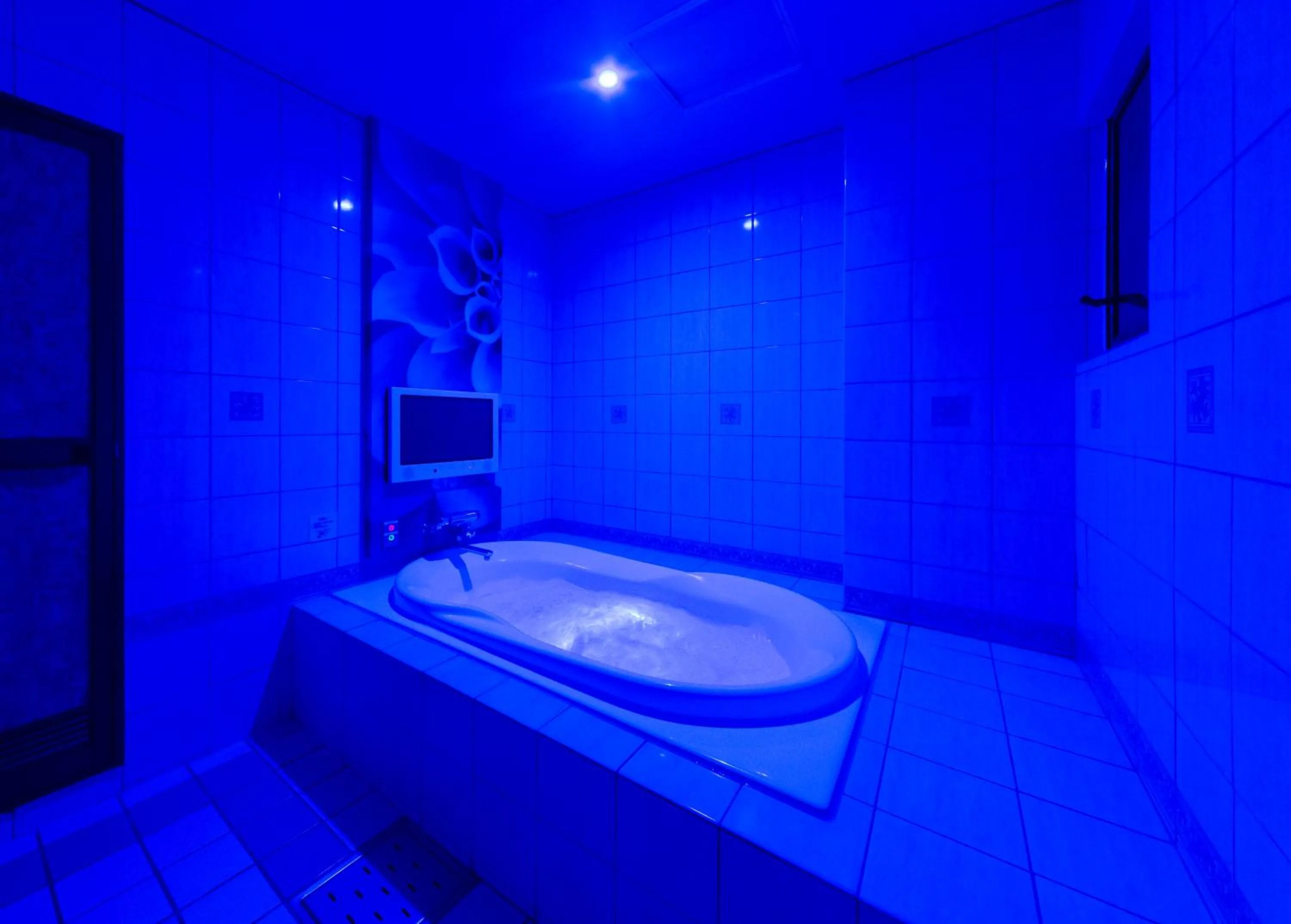 Photo of the whole room in Hotel Plant Garden Resort (Adult Only)