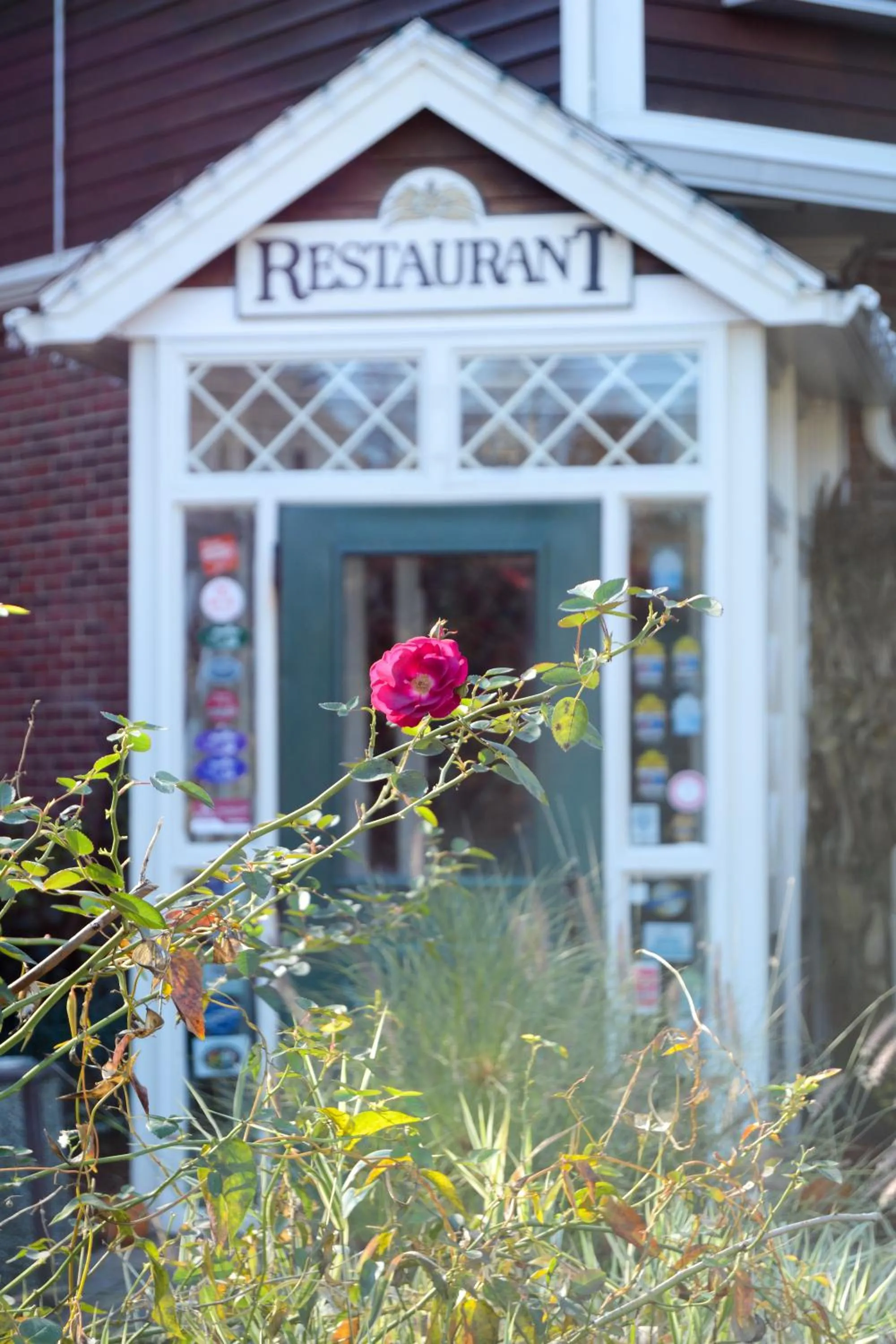 Day in Lamies Inn & The Old Salt Tavern