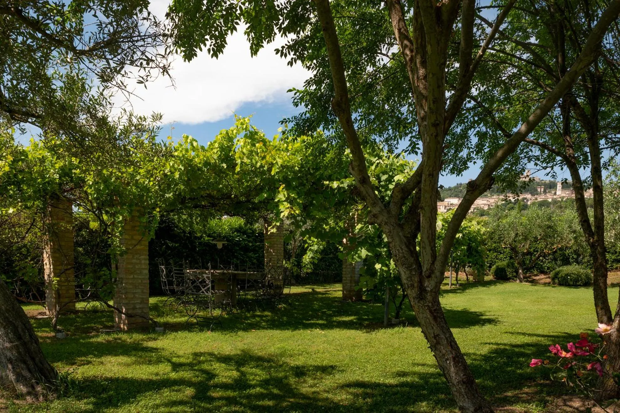 Natural landscape in Tenuta San Masseo - boutique farm resort & SPA