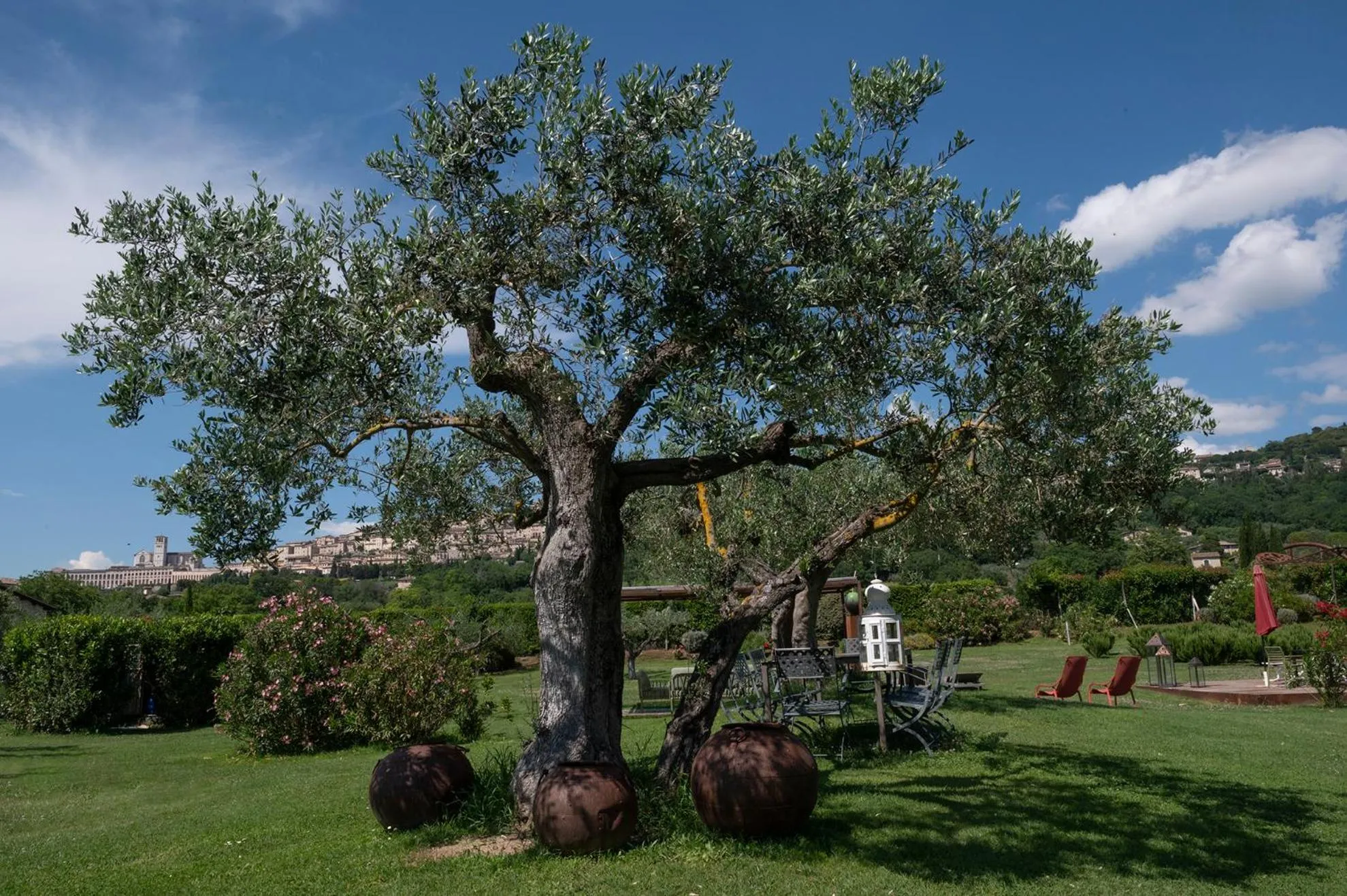 Natural landscape in Tenuta San Masseo - boutique farm resort & SPA