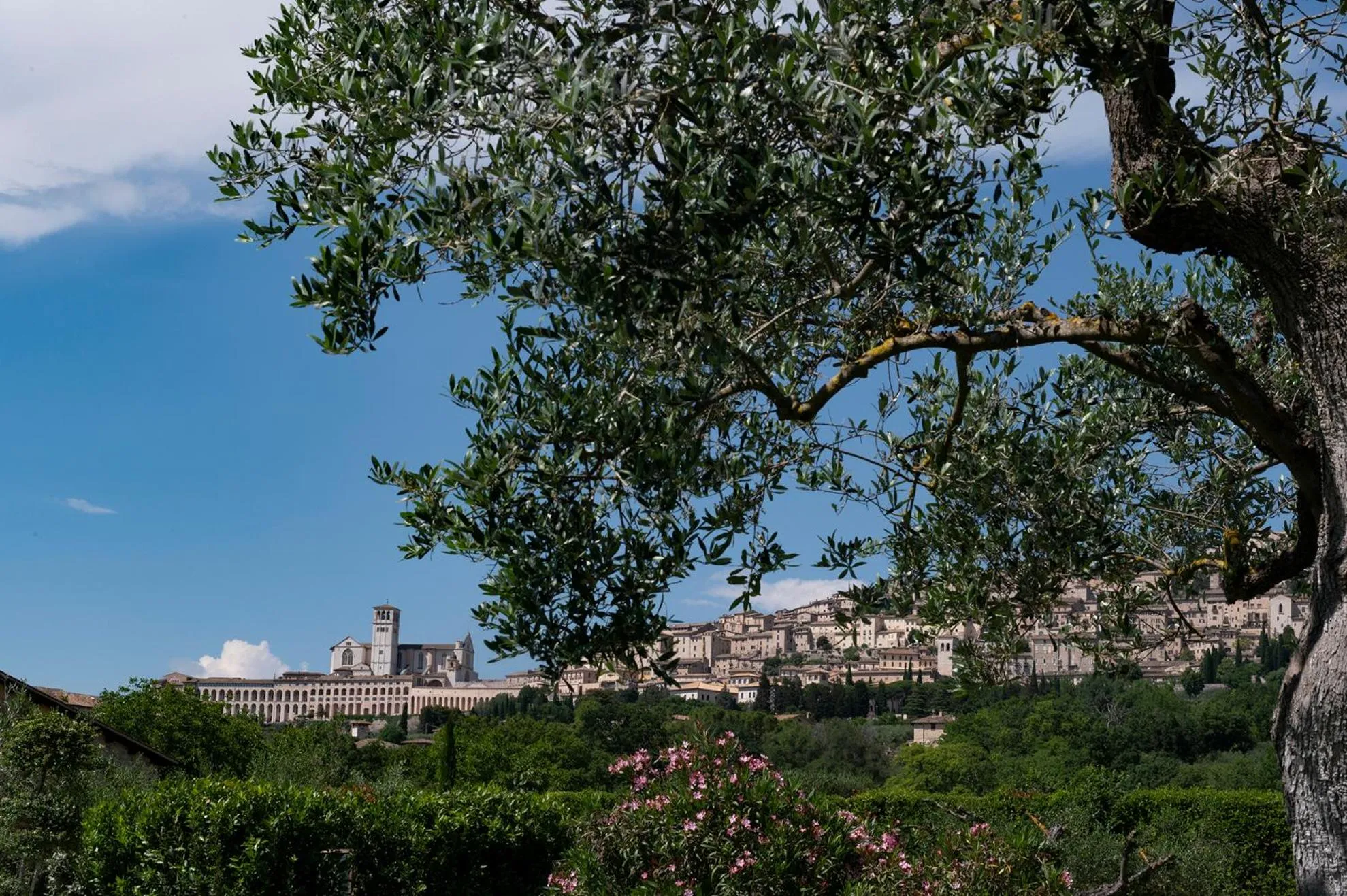 Nearby landmark in Tenuta San Masseo - boutique farm resort & SPA