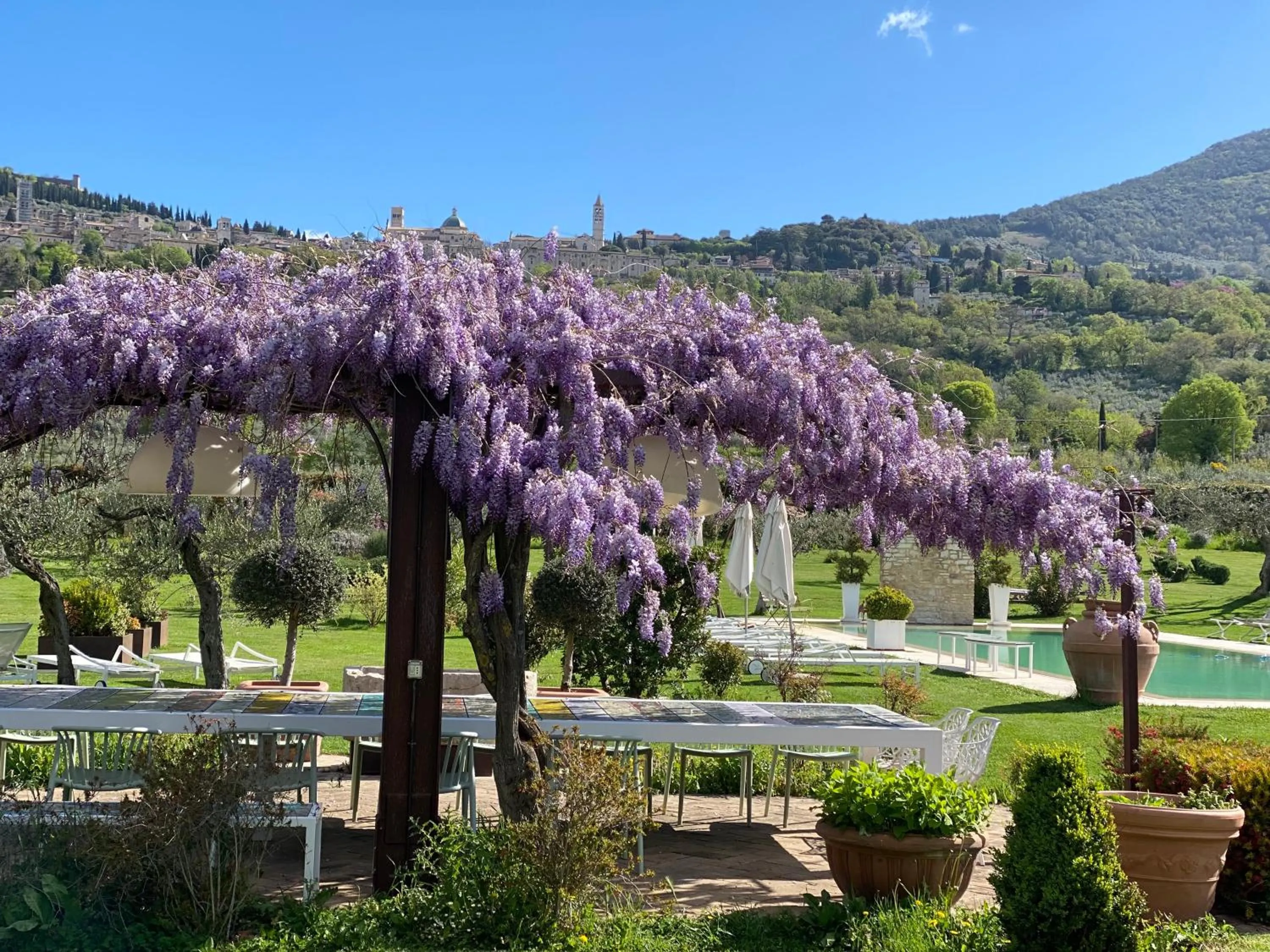 Garden in Tenuta San Masseo - boutique farm resort & SPA