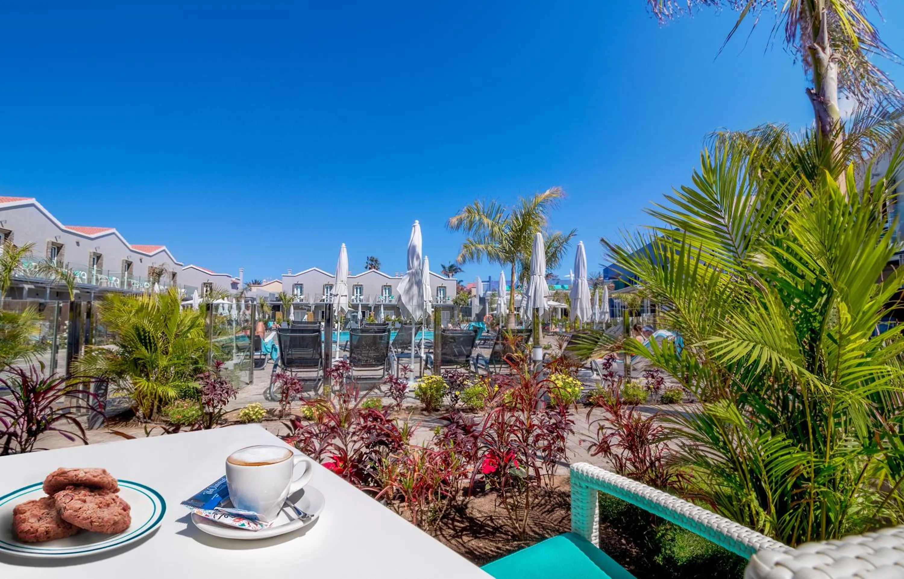 Garden in Hotel LIVVO Los Calderones - Adults recommended