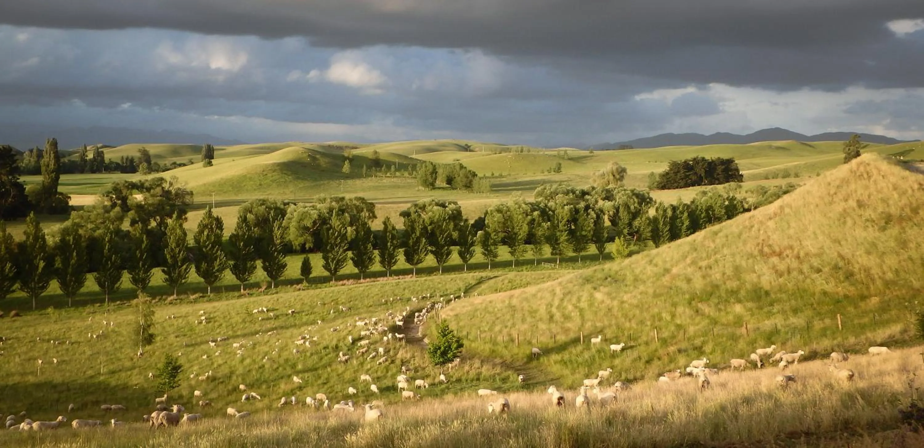 Mountain view in Tree House Lodge Bed & Breakfast