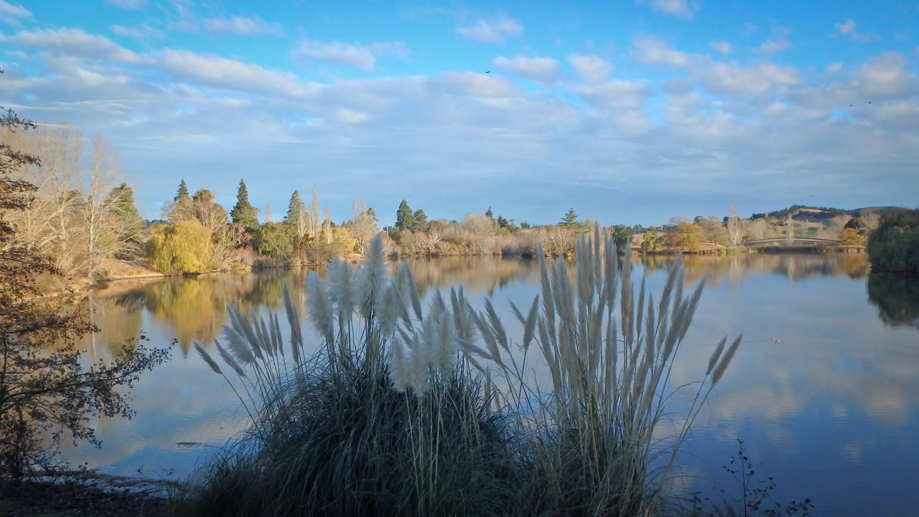 Nearby landmark in Tree House Lodge Bed & Breakfast