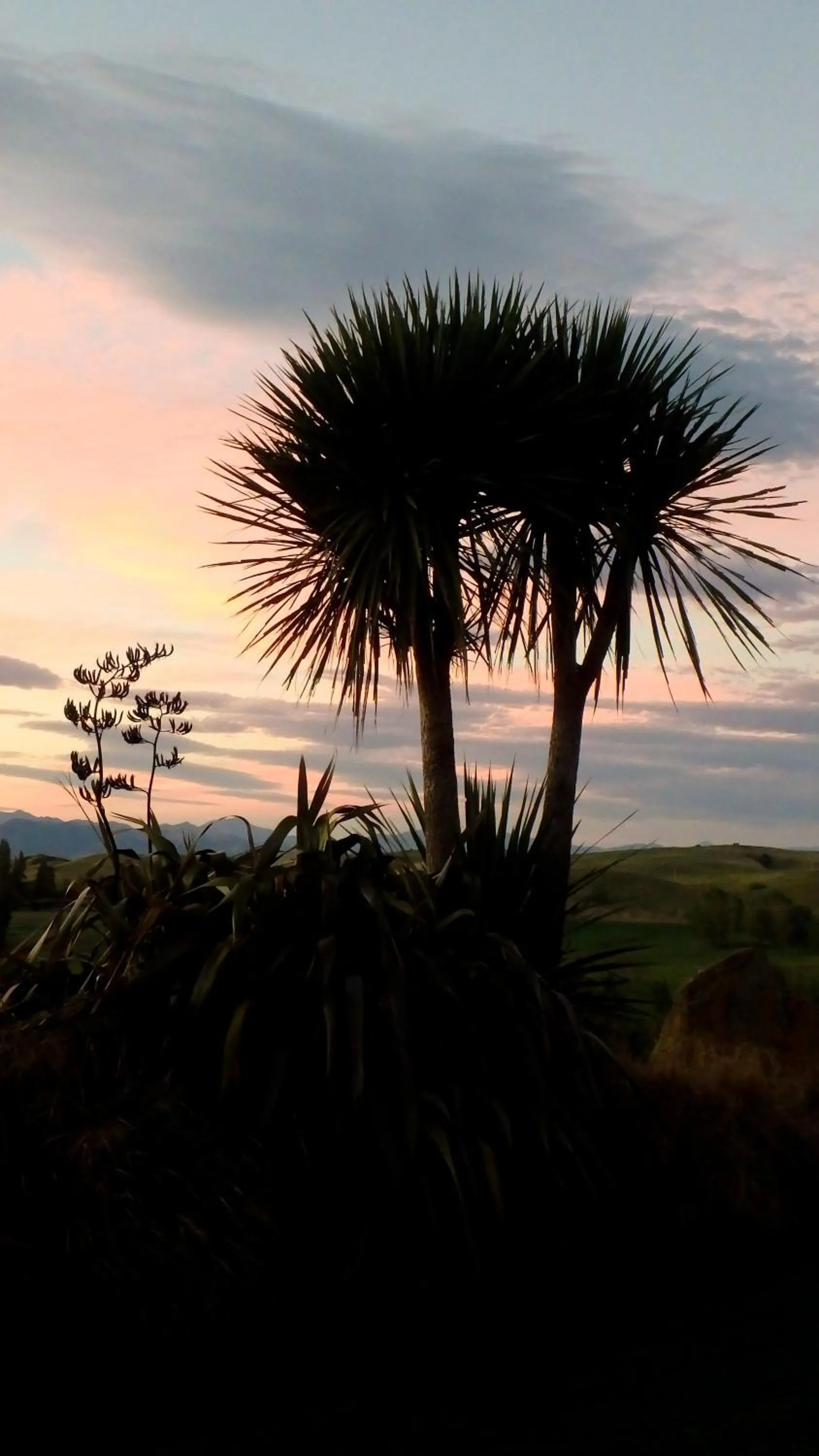 Natural landscape in Tree House Lodge Bed & Breakfast