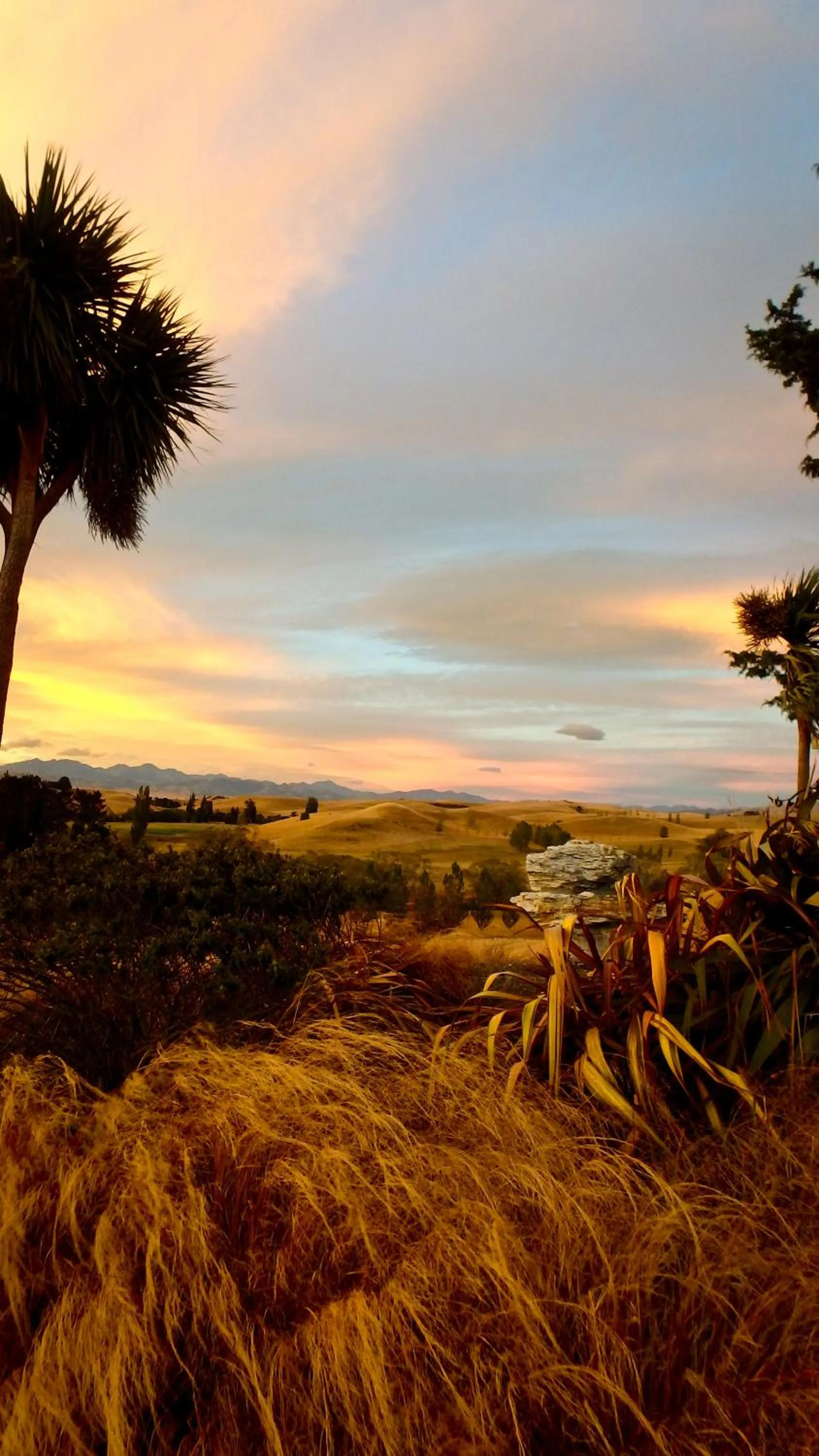 Mountain view in Tree House Lodge Bed & Breakfast