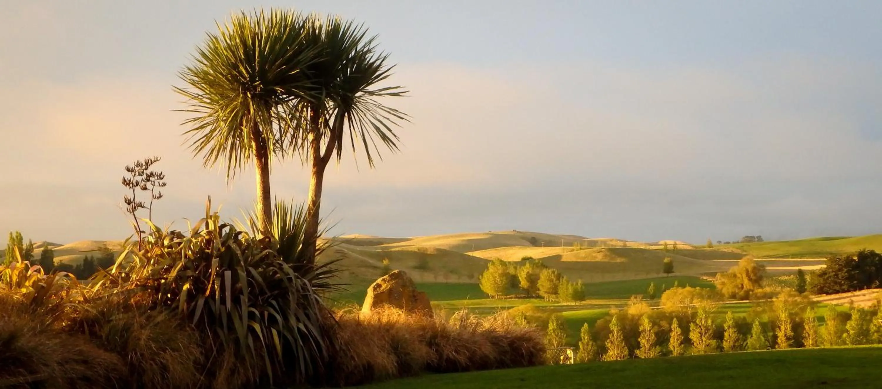 Autumn in Tree House Lodge Bed & Breakfast