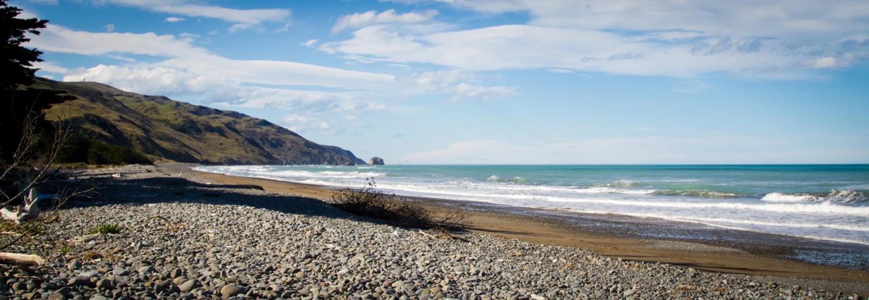 Beach in Tree House Lodge Bed & Breakfast