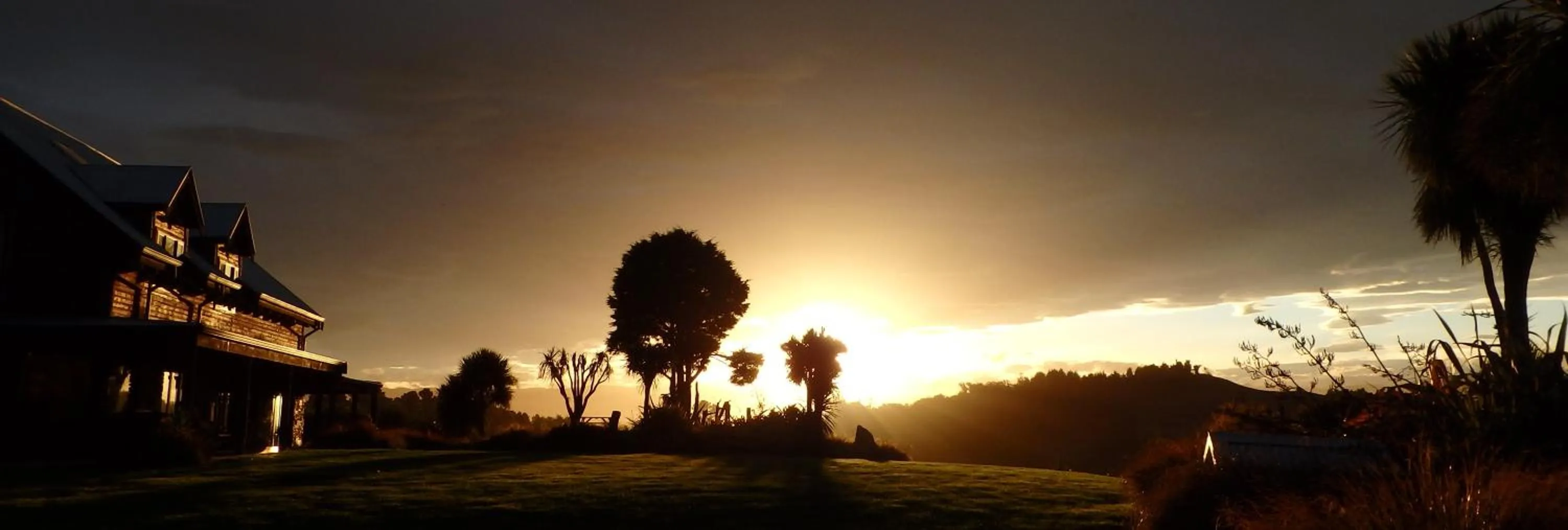 Garden view in Tree House Lodge Bed & Breakfast
