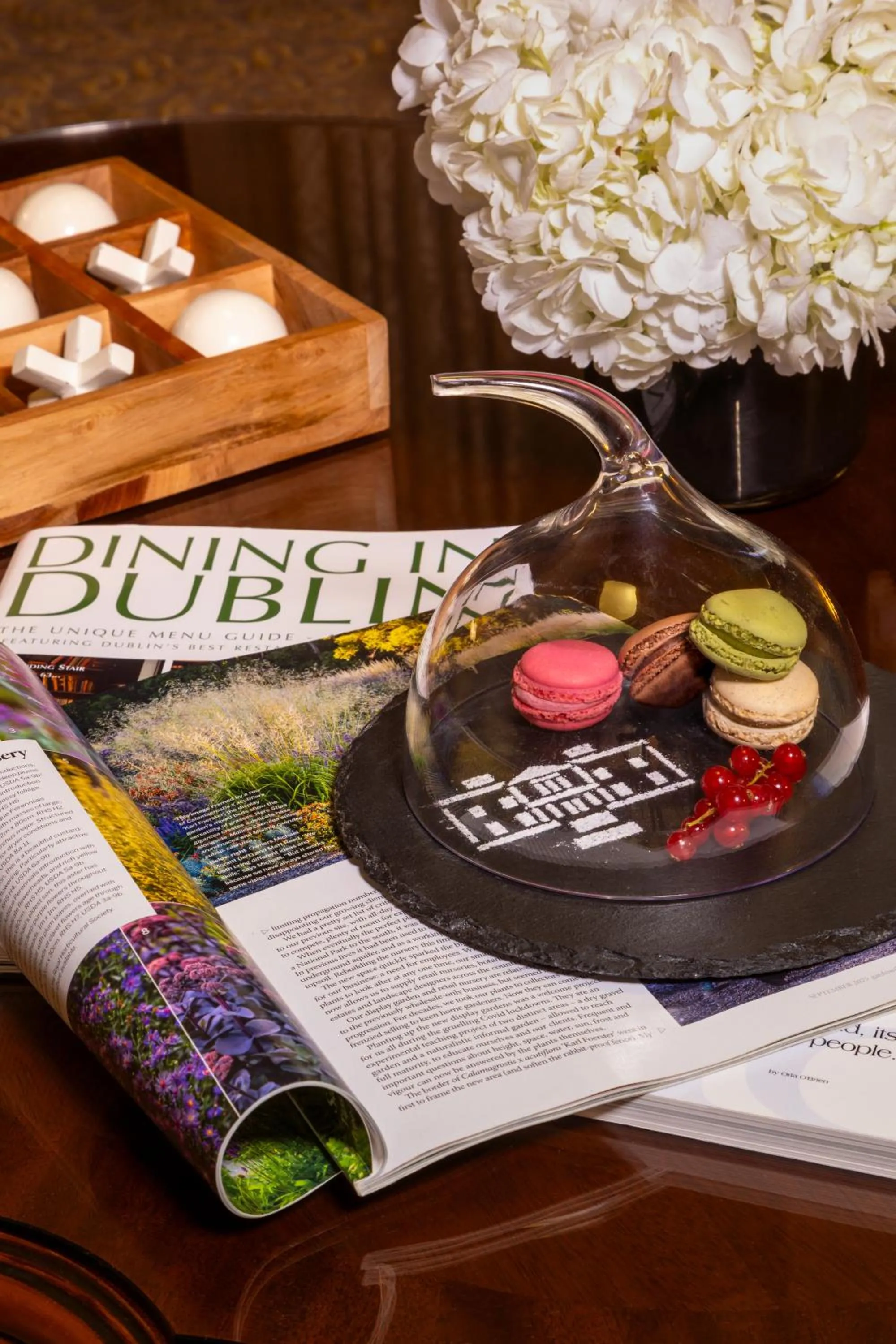 St Helen's Hotel, Dublin