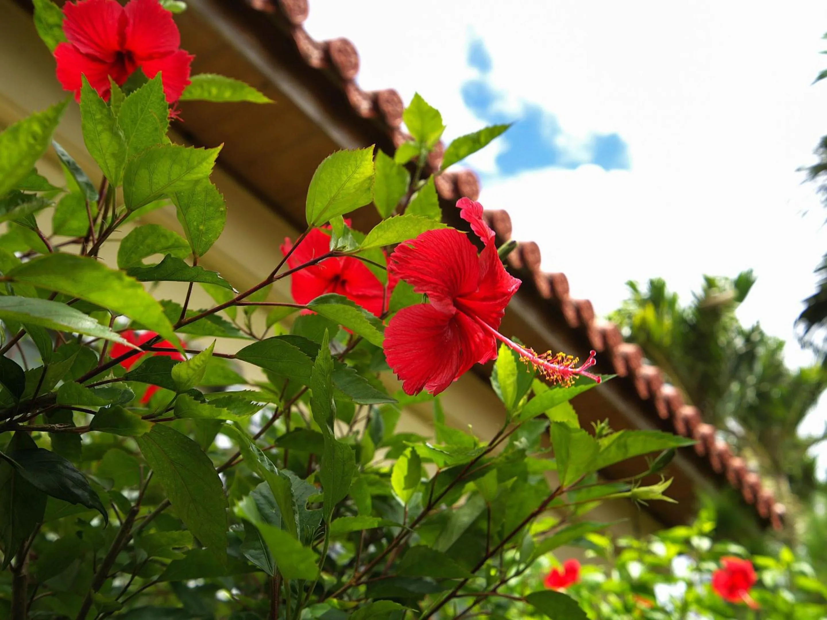 Area and facilities in Nagahama Beach Resort Kanon