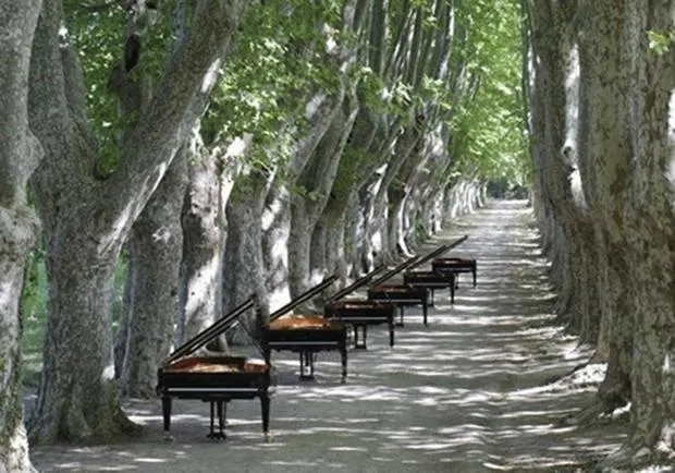 Evening entertainment in Le petit Figuier