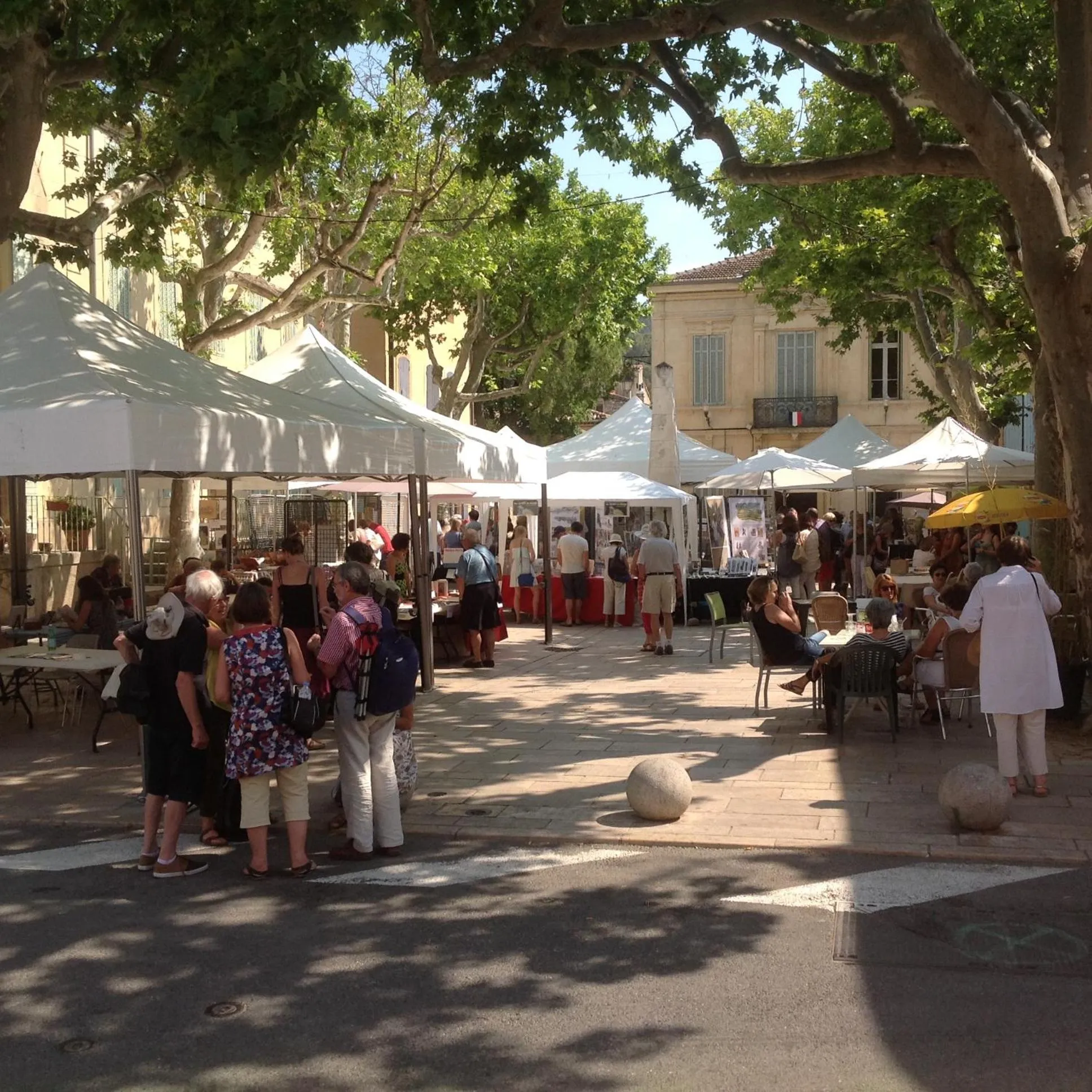 Activities in Le petit Figuier