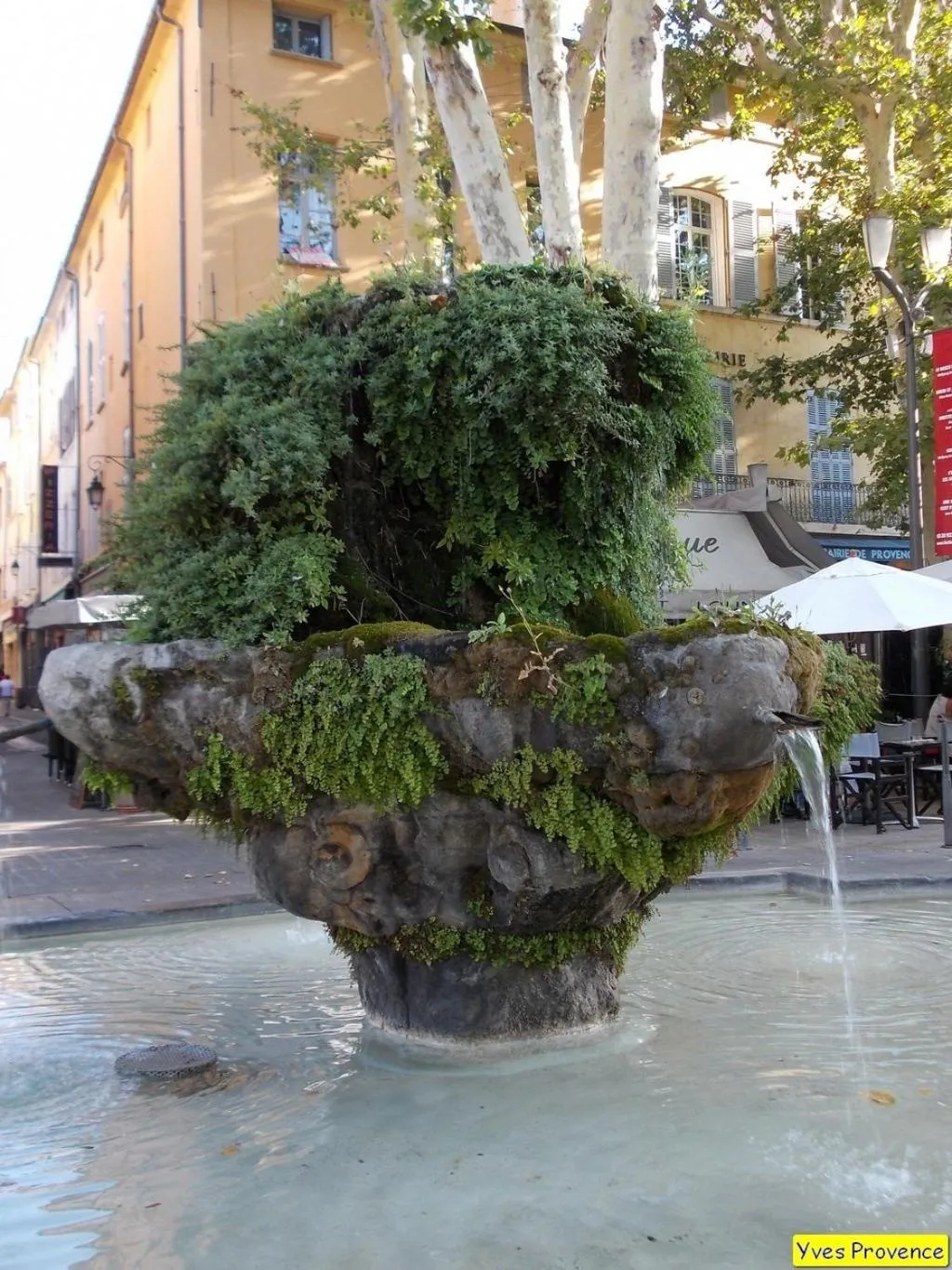 Area and facilities in Le petit Figuier