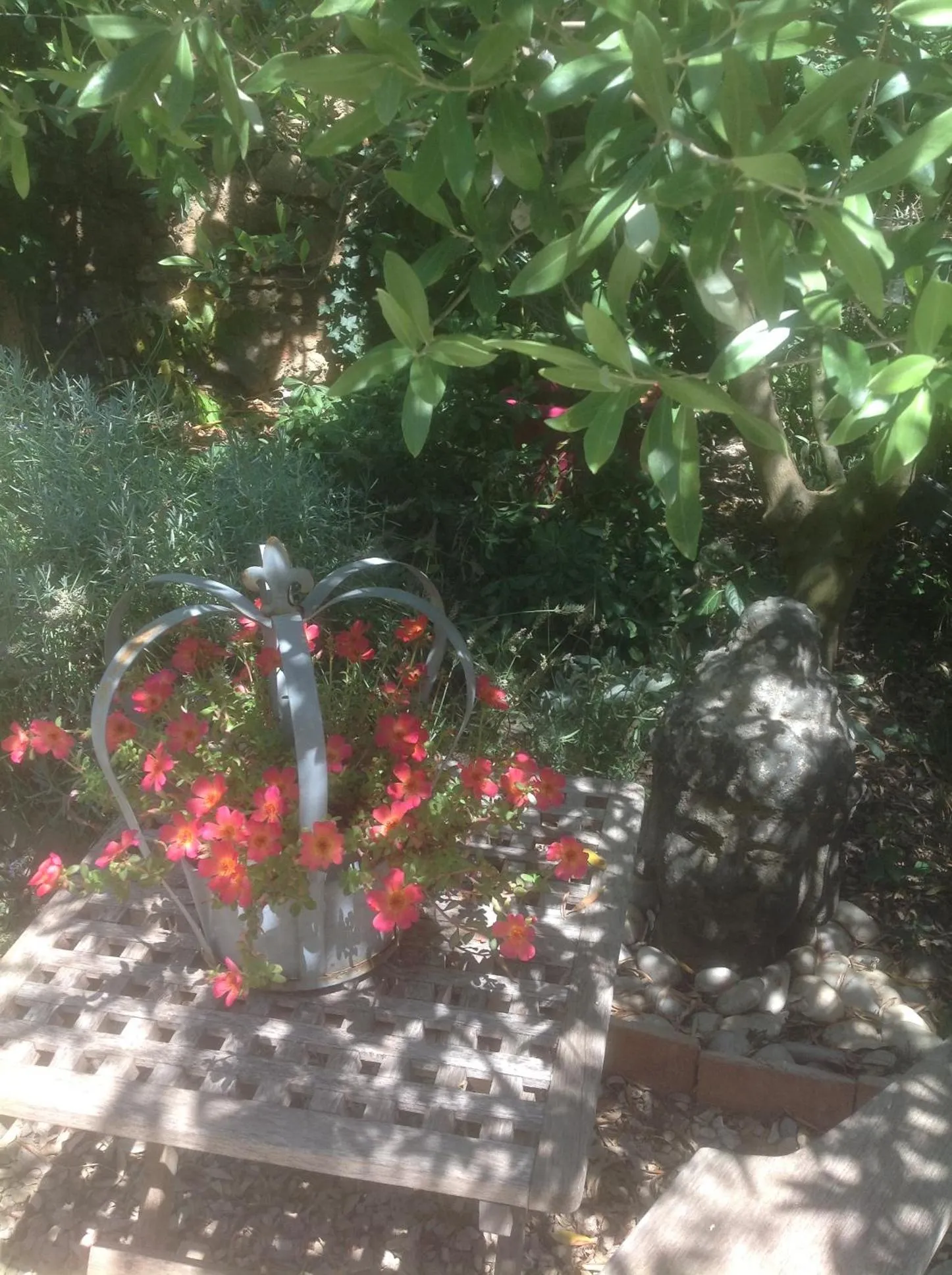 Garden in Le petit Figuier