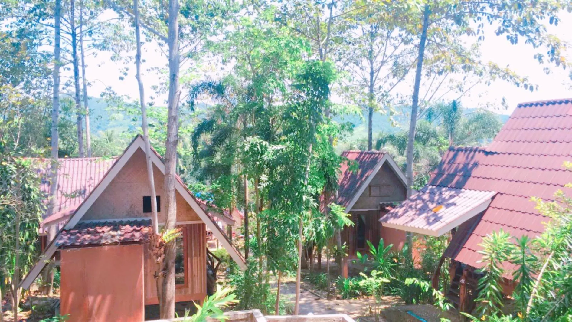 Property building in Activities Resort