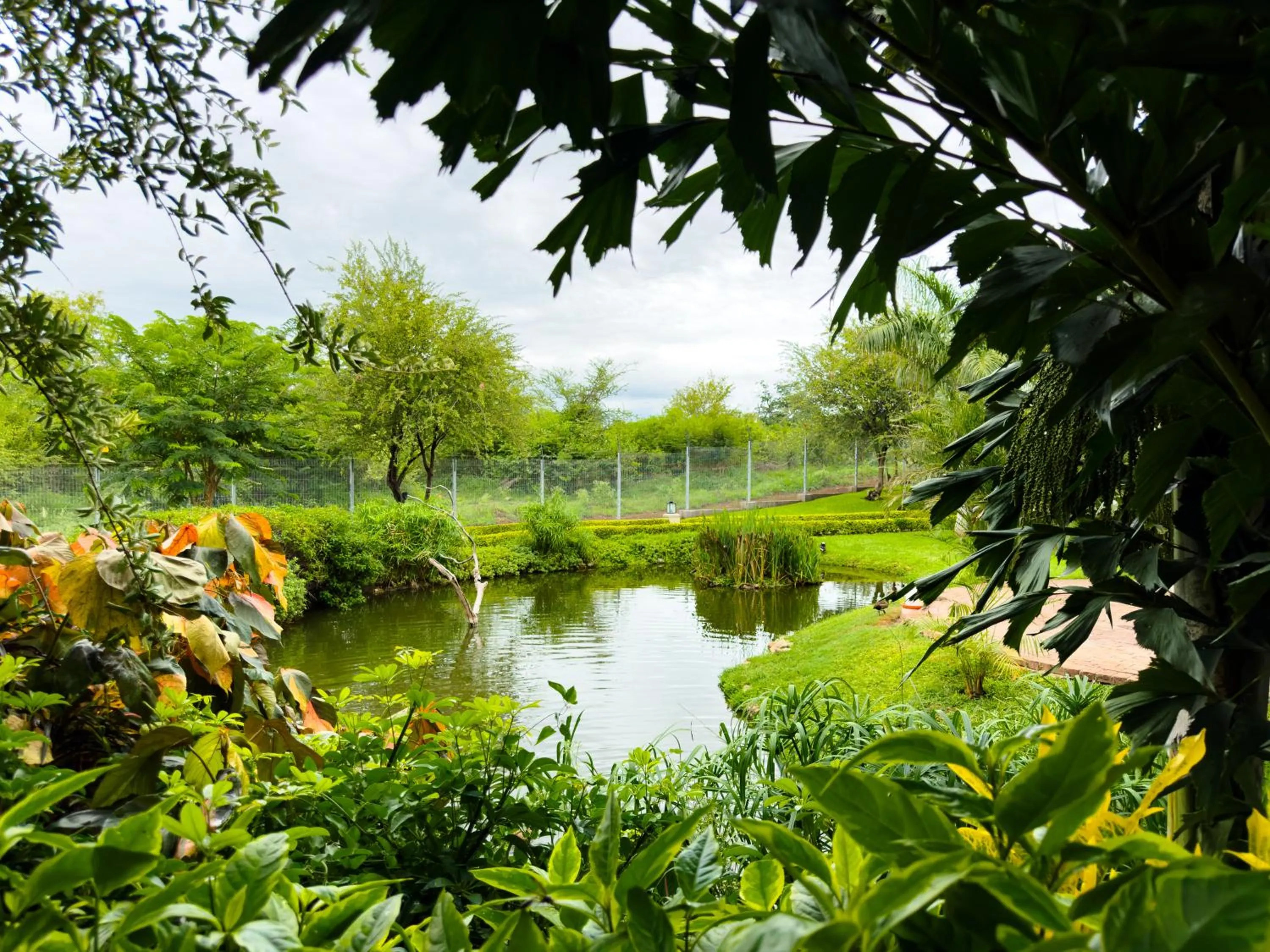 Natural landscape in Shearwater's Explorers Village