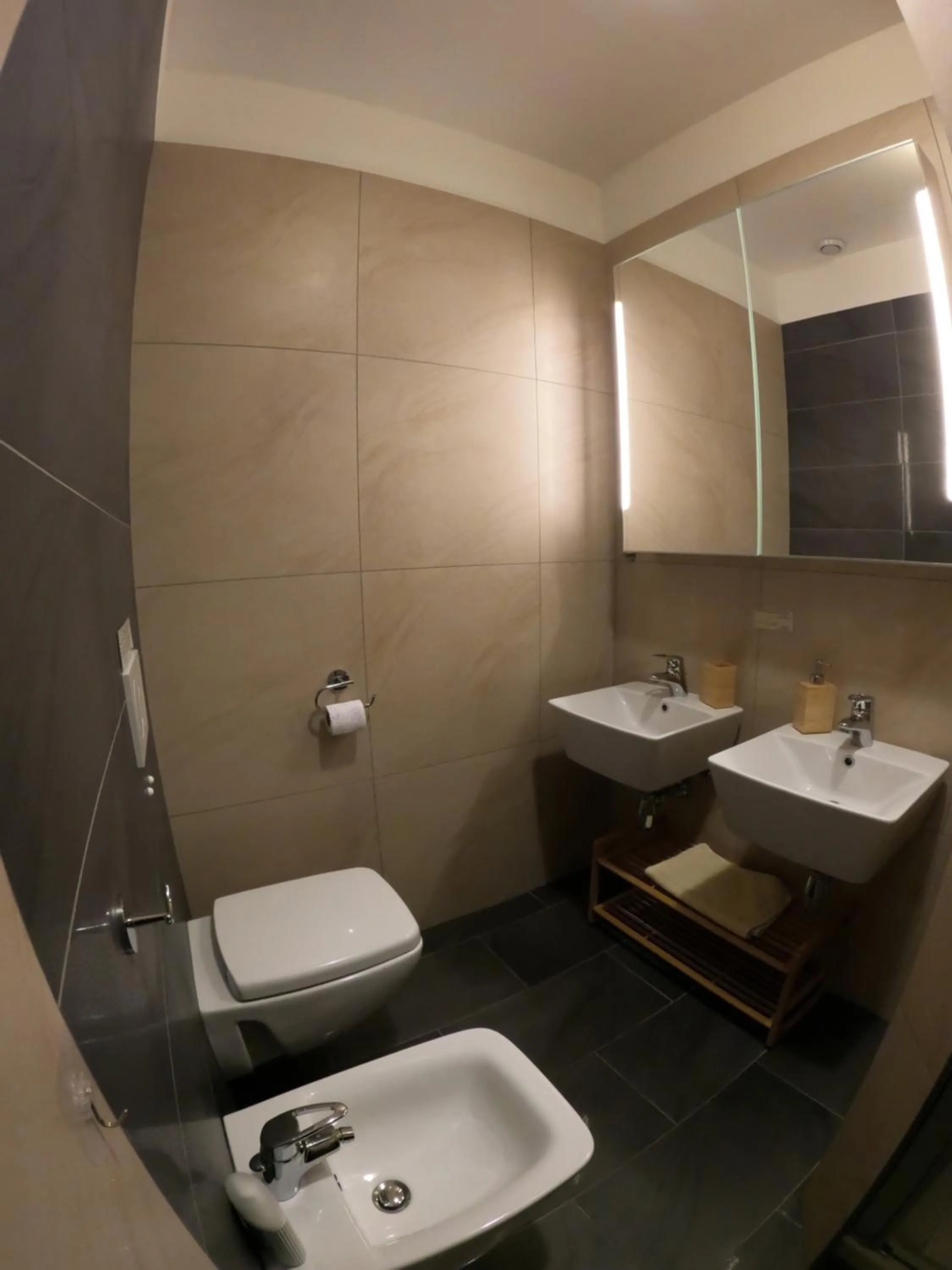 Toilet in Five Roses Bed & Breakfast