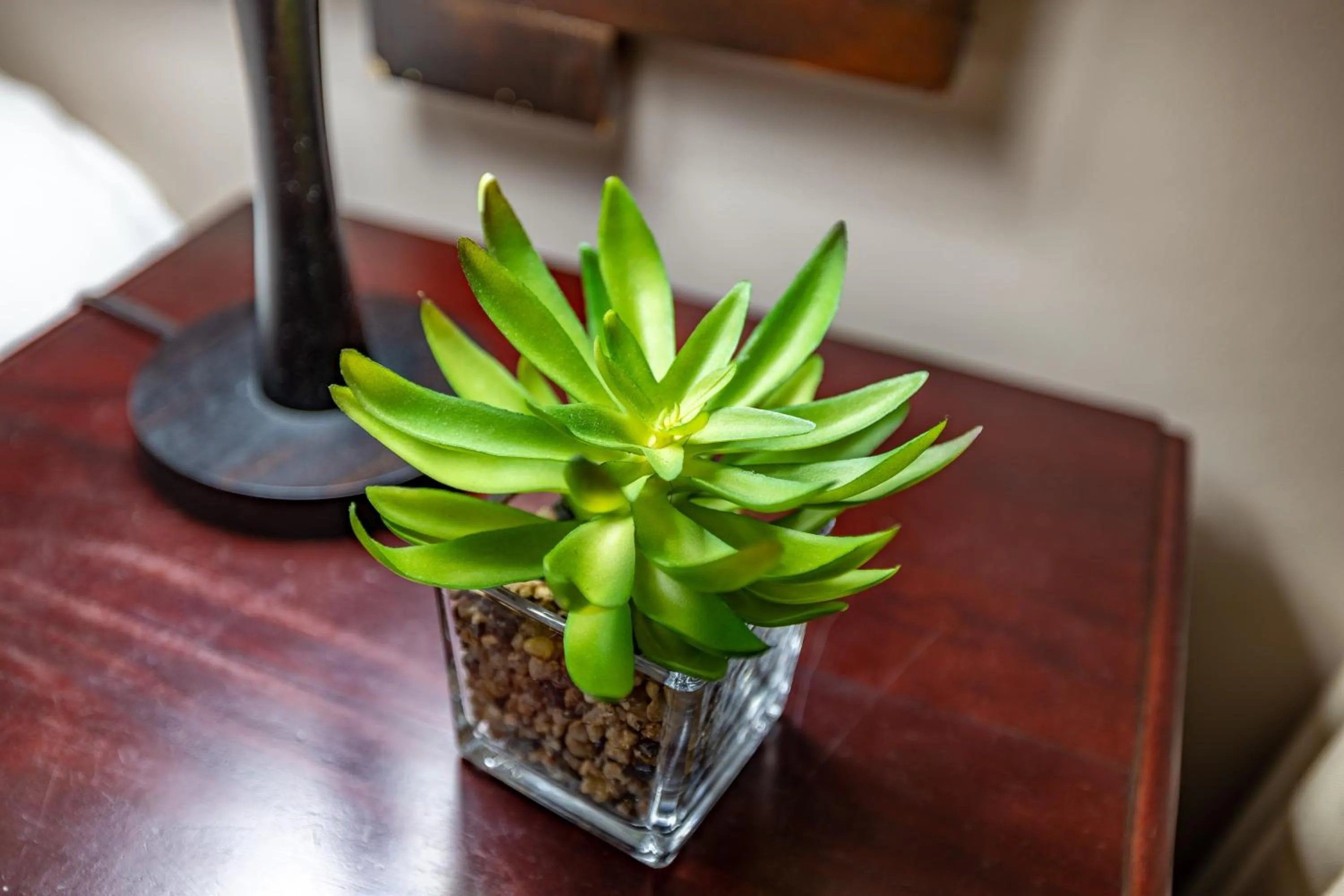 View (from property/room) in Dreamfields Guesthouse