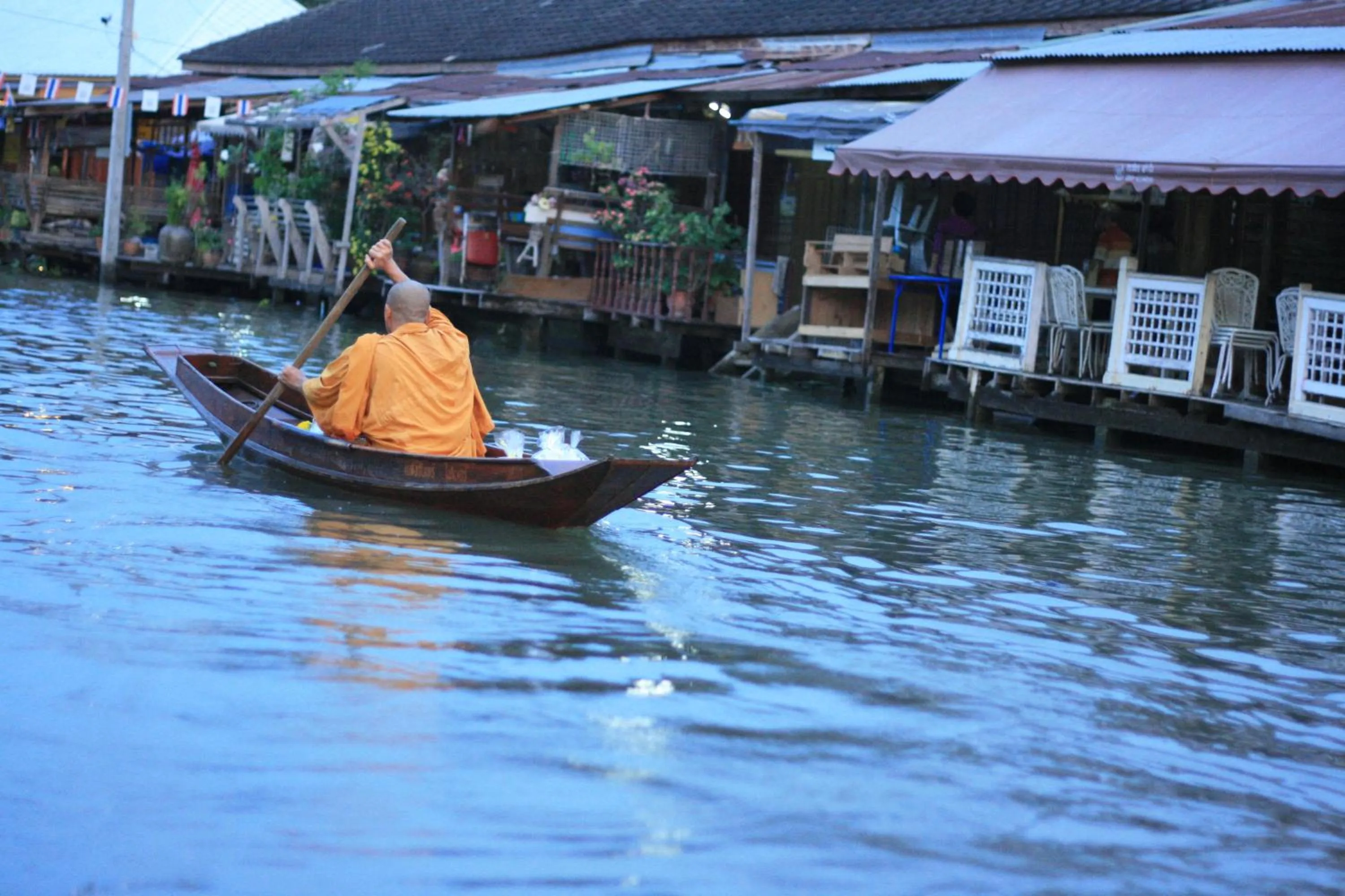 Animals in Ban Mae Arom