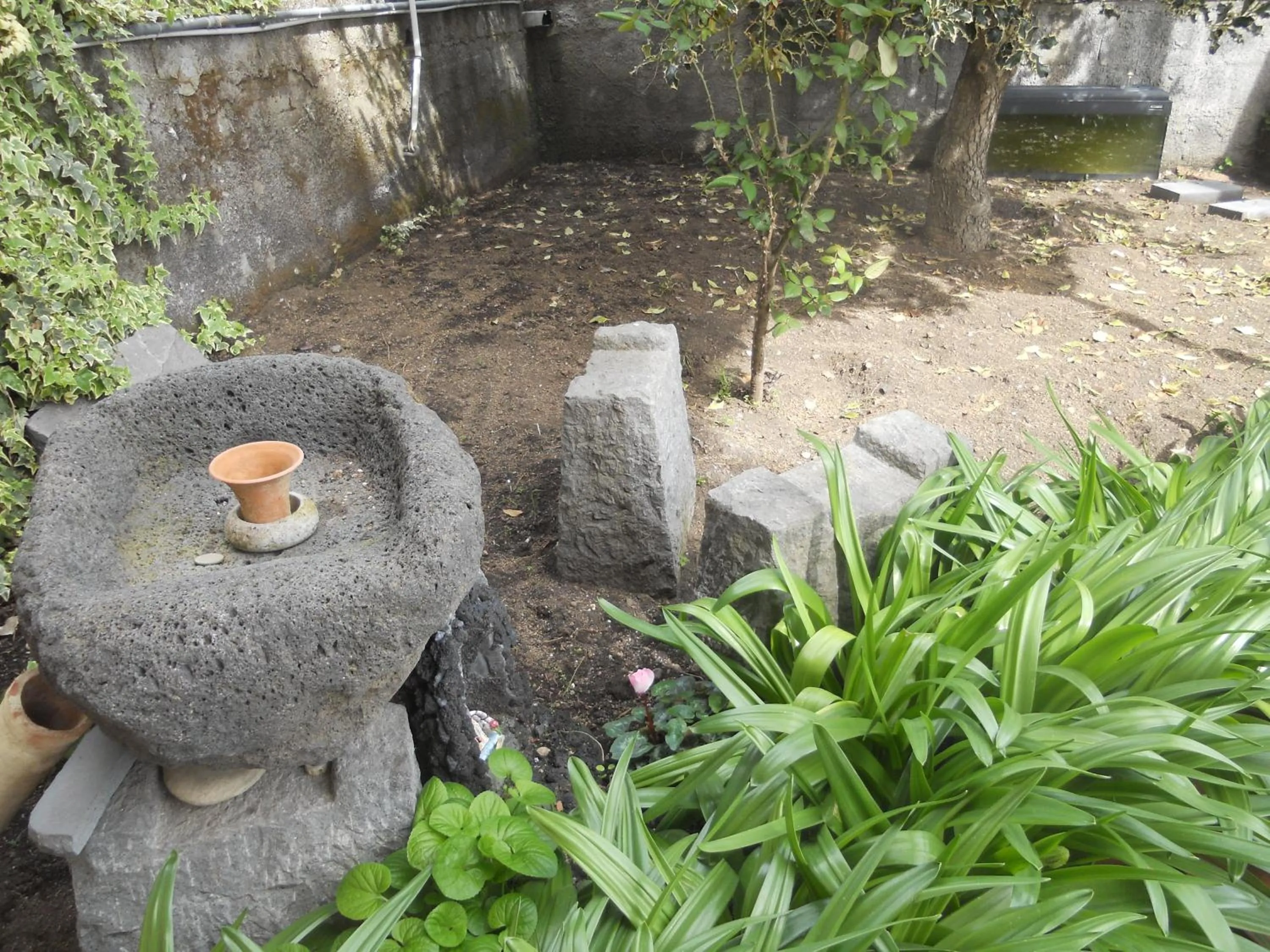 Garden in L'Agrifoglio Dell'Etna