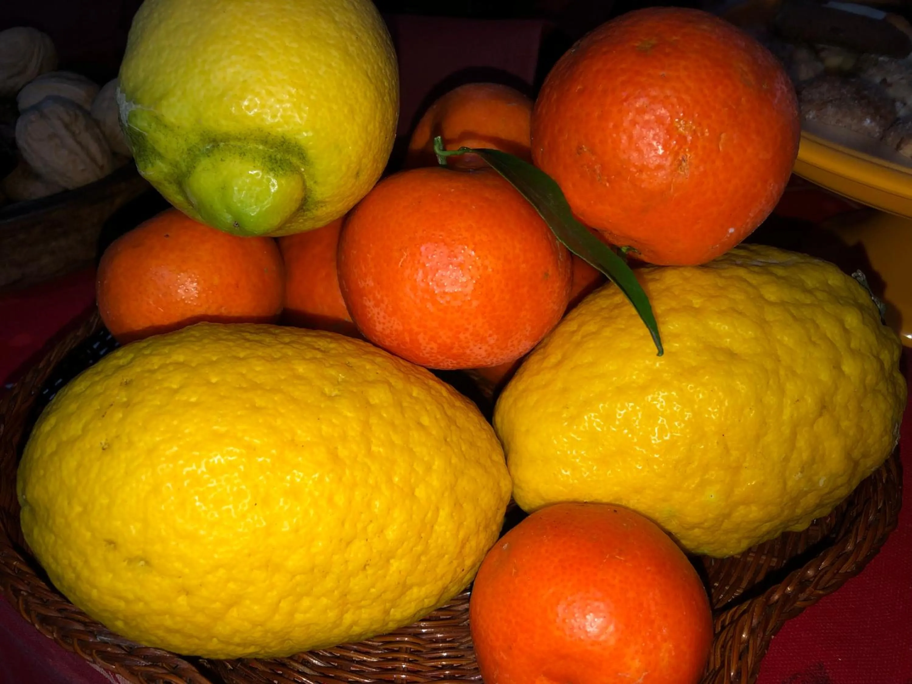 L'Agrifoglio Dell'Etna