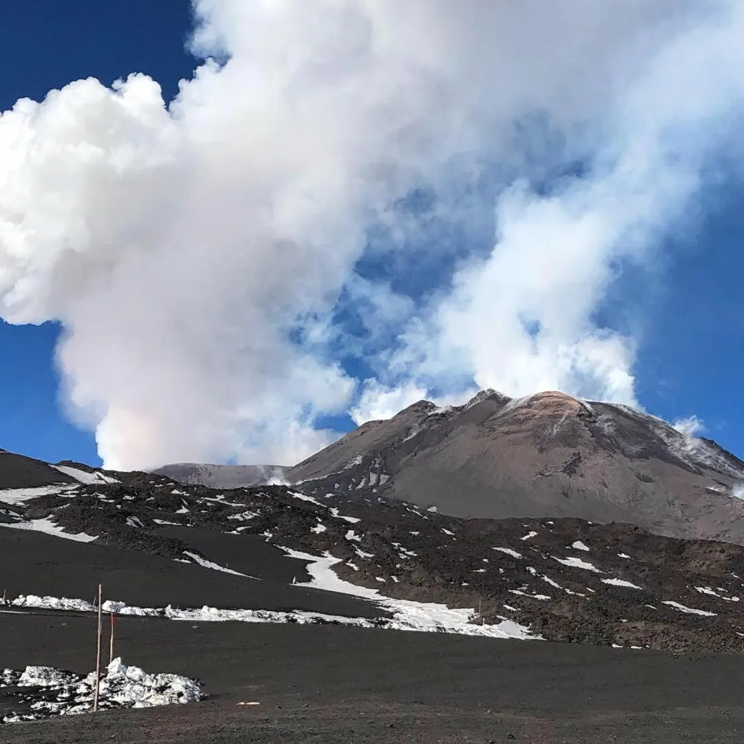 L'Agrifoglio Dell'Etna