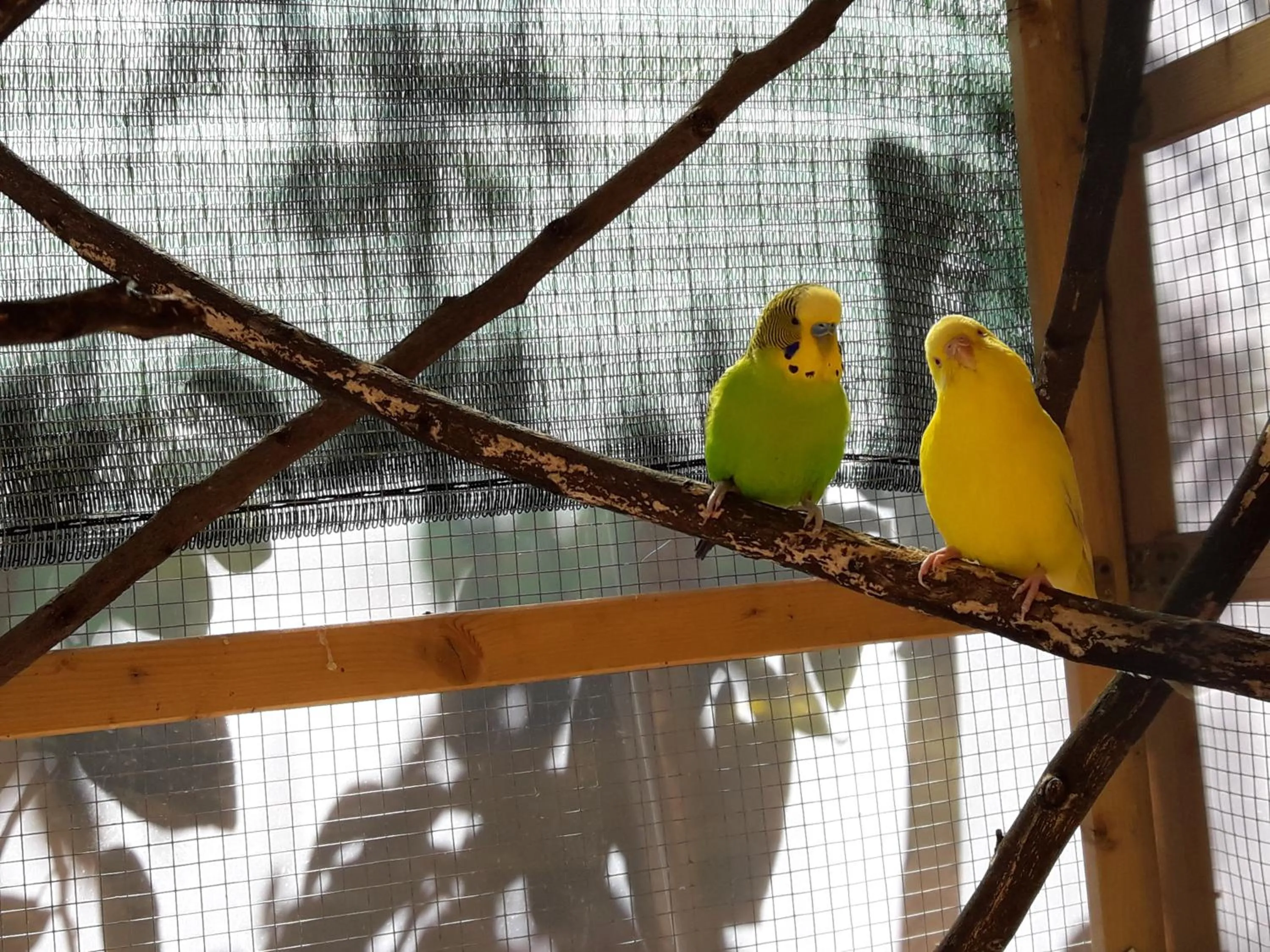 Neighbourhood in L'Agrifoglio Dell'Etna