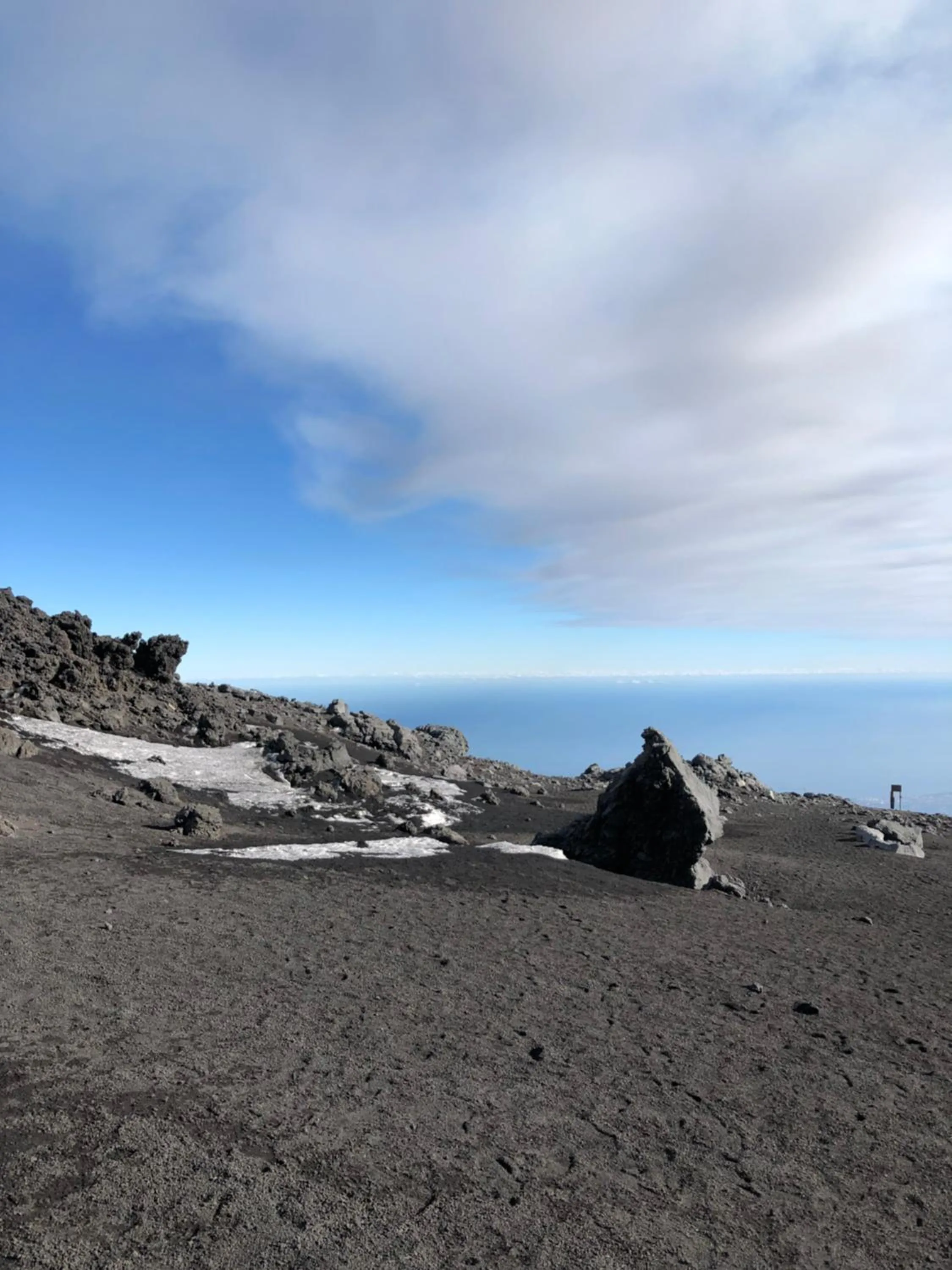 L'Agrifoglio Dell'Etna