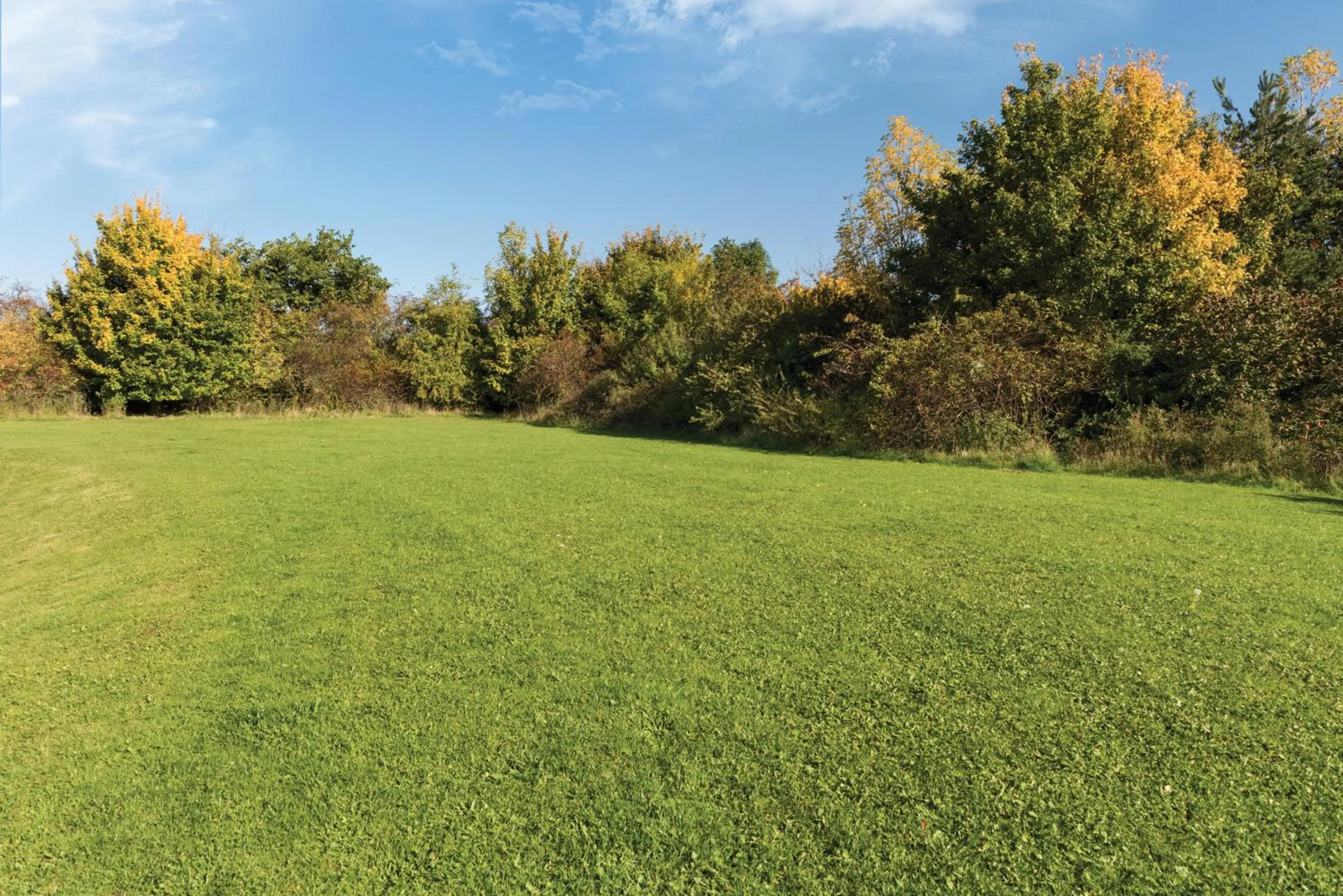 Garden in Days Inn Hotel Warwick South - Southbound M40