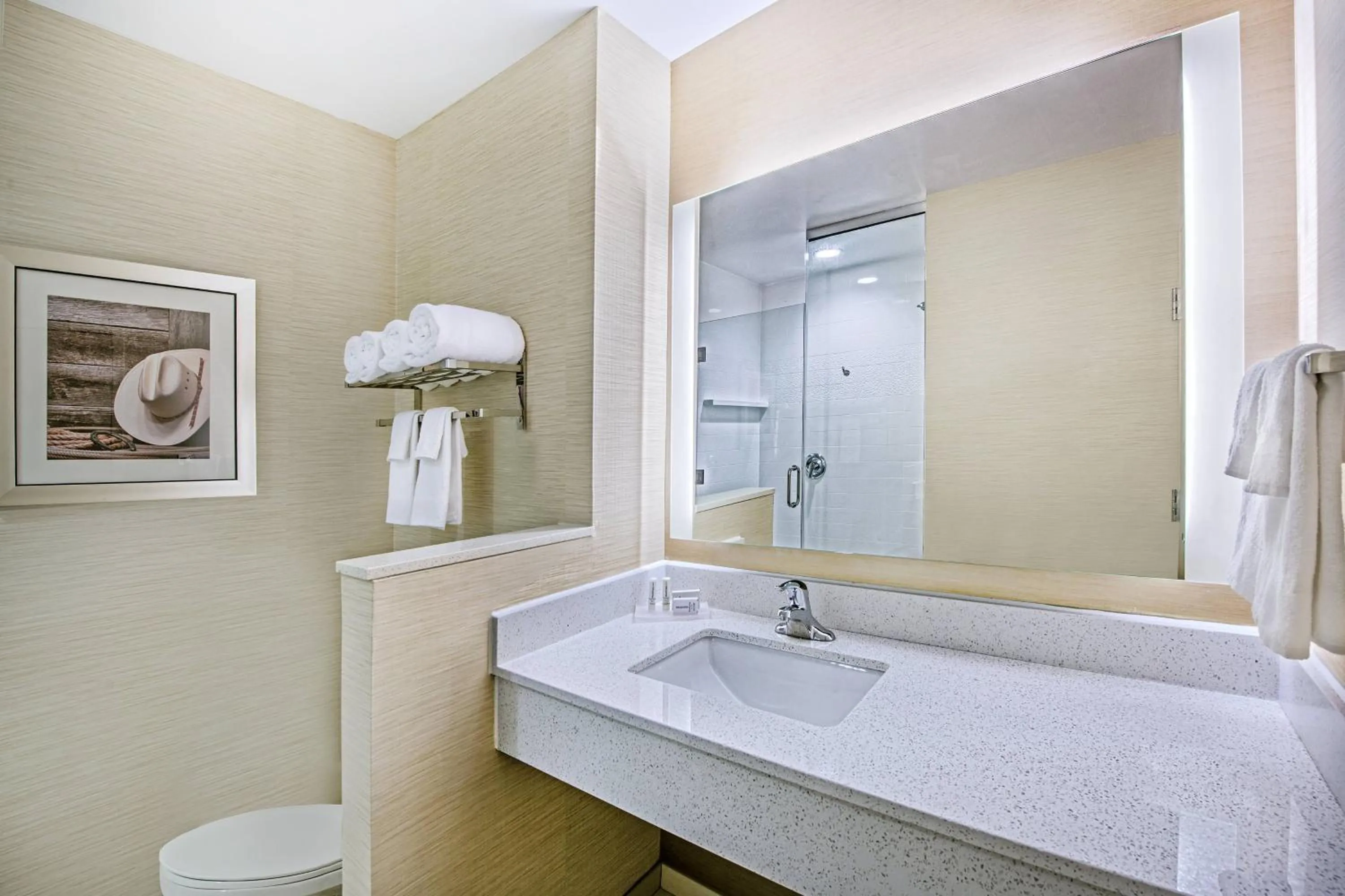 Bathroom in Fairfield Inn & Suites Van Canton Area