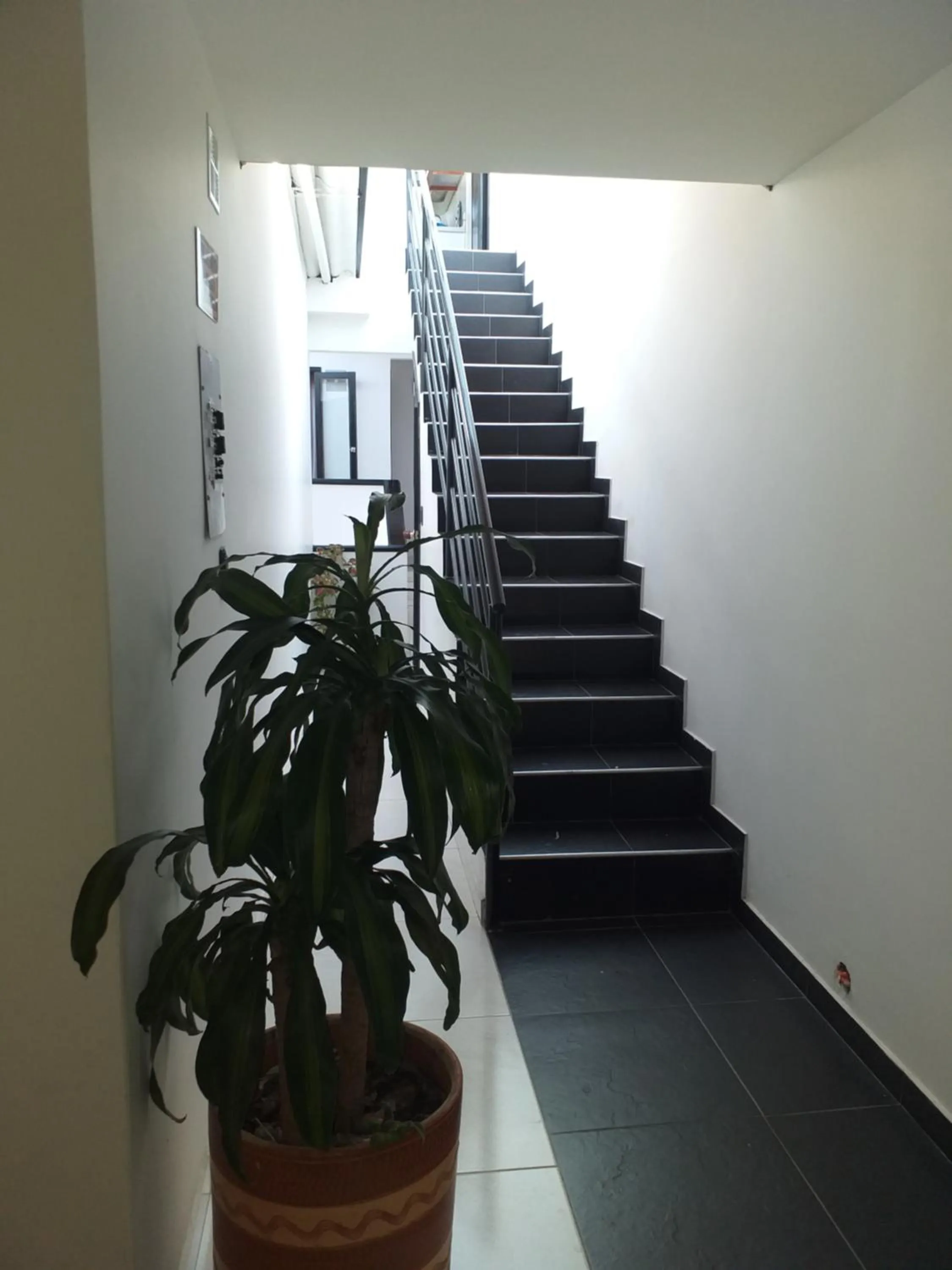 Hotel Hortensia Real