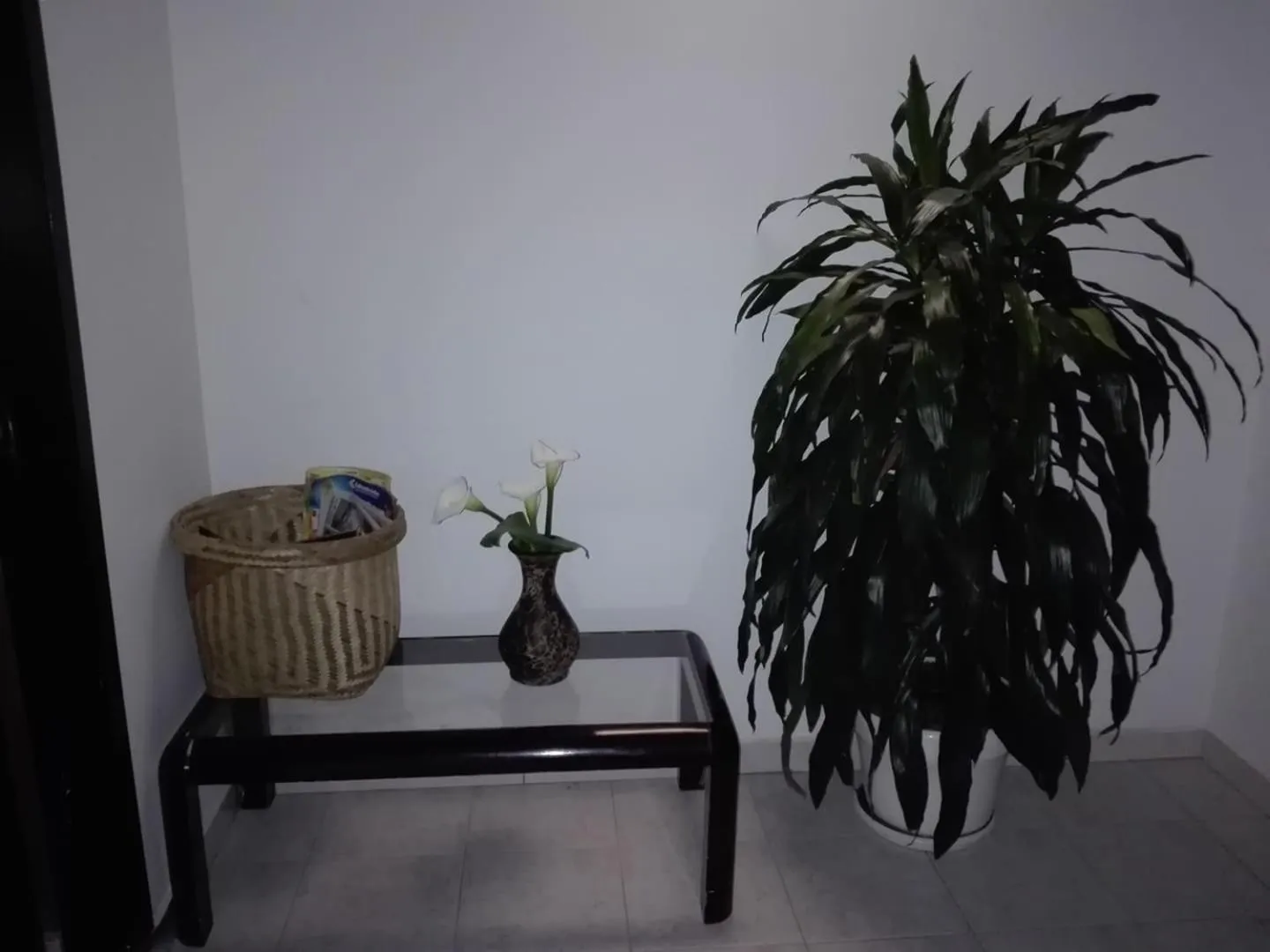 Hotel Hortensia Real