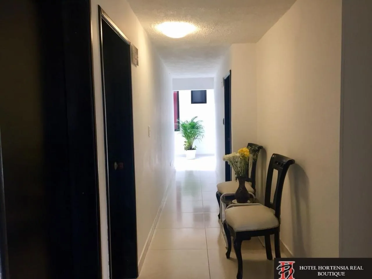 Property building in Hotel Hortensia Real